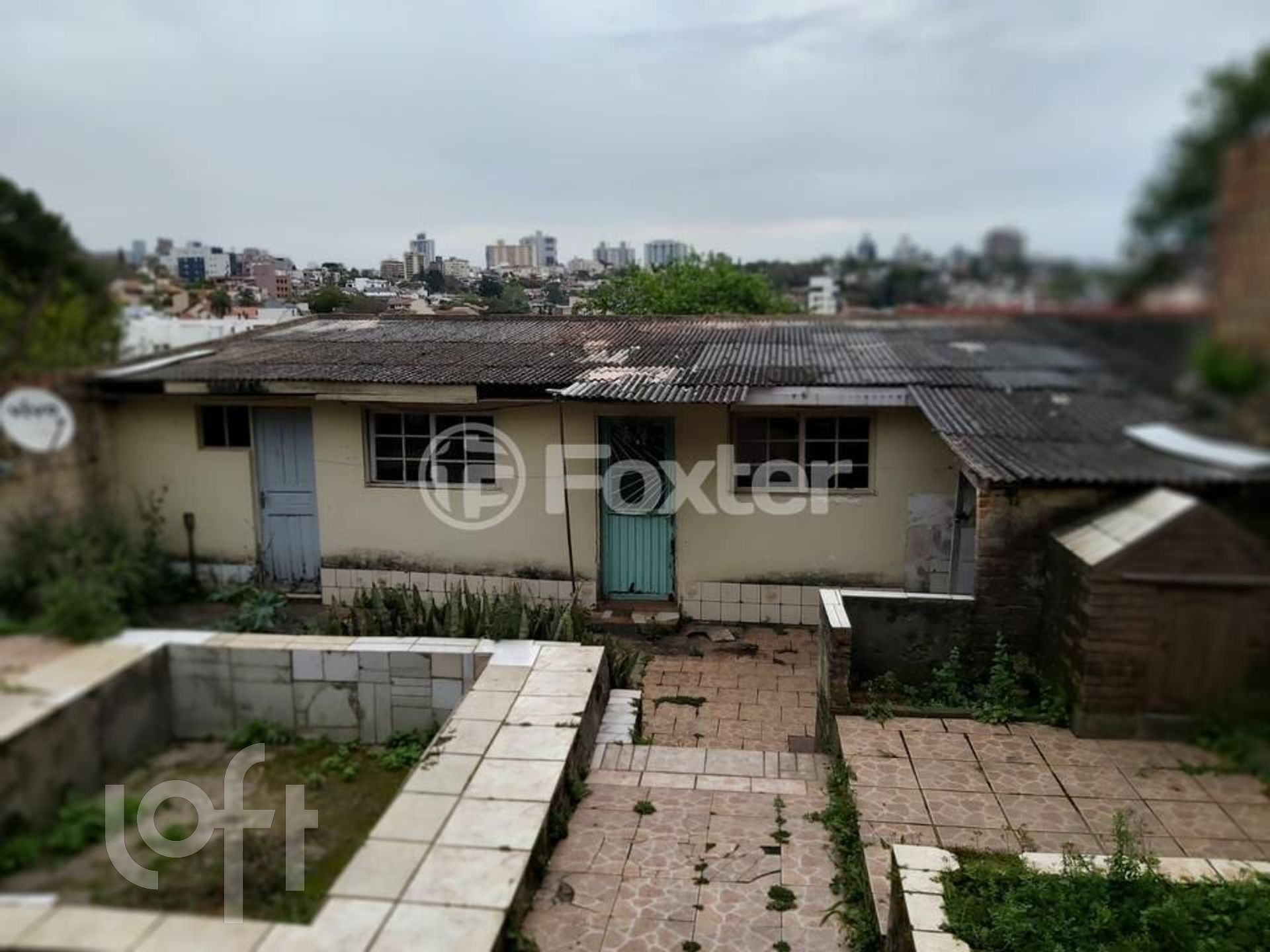 Imagem da propriedade 16