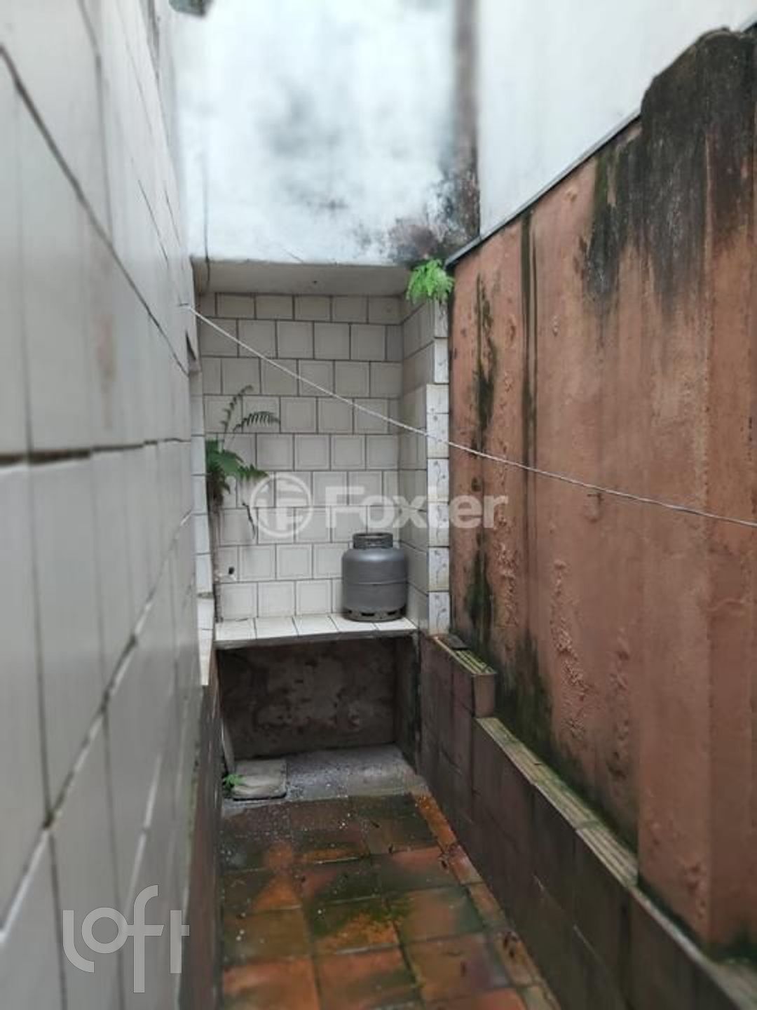 Imagem da propriedade 9