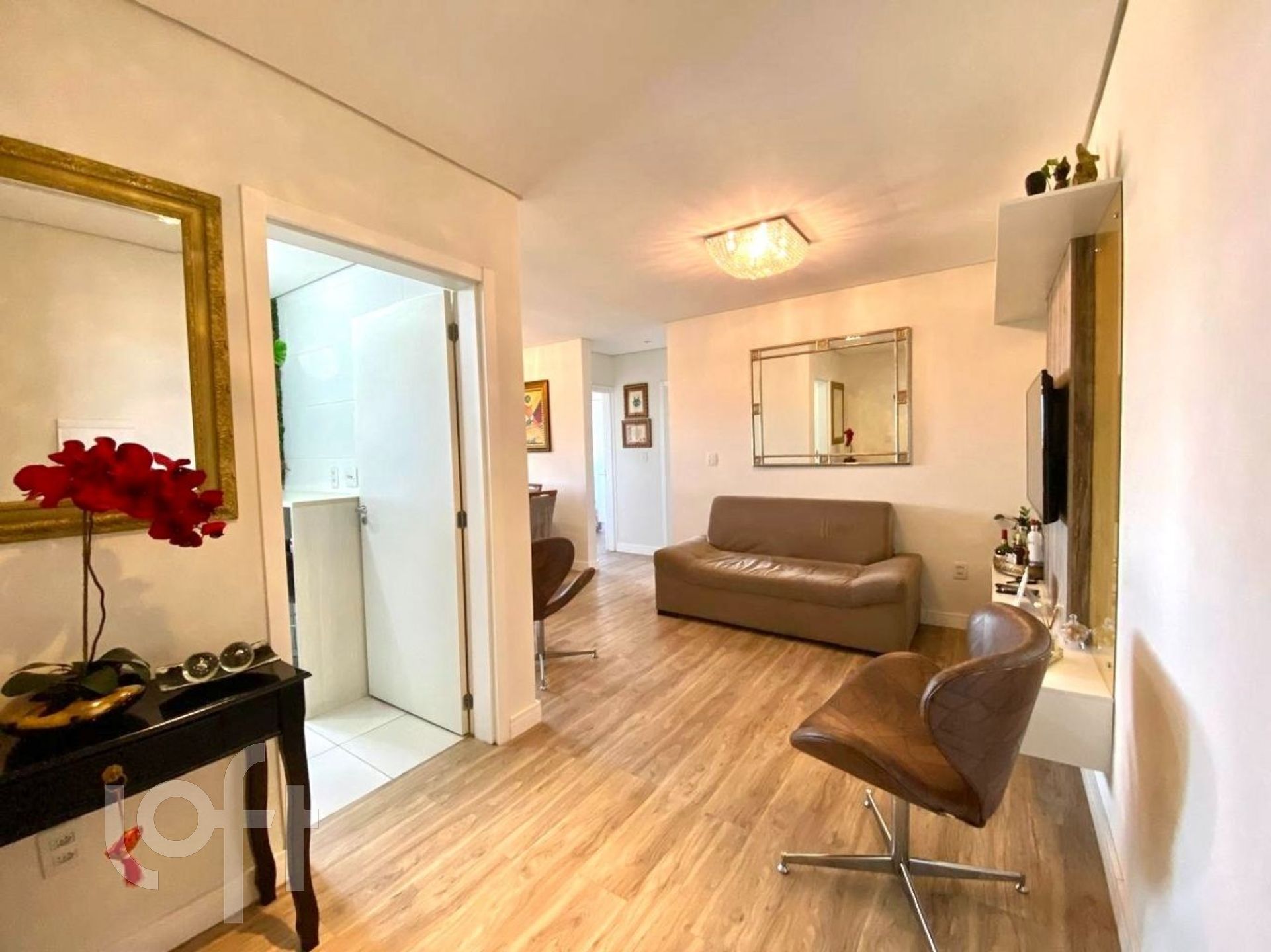 Imagem da propriedade 3