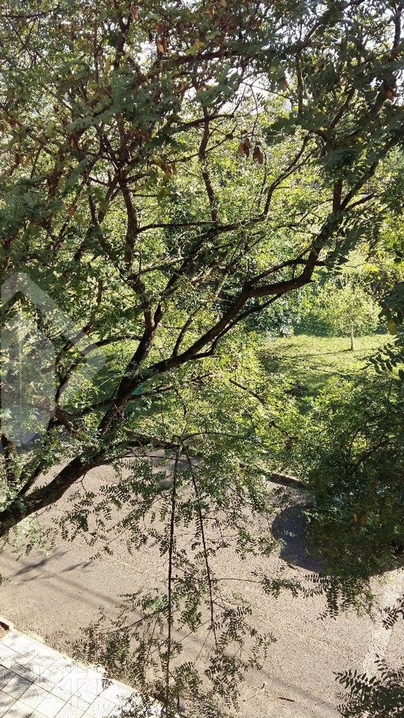 Imagem da propriedade 23