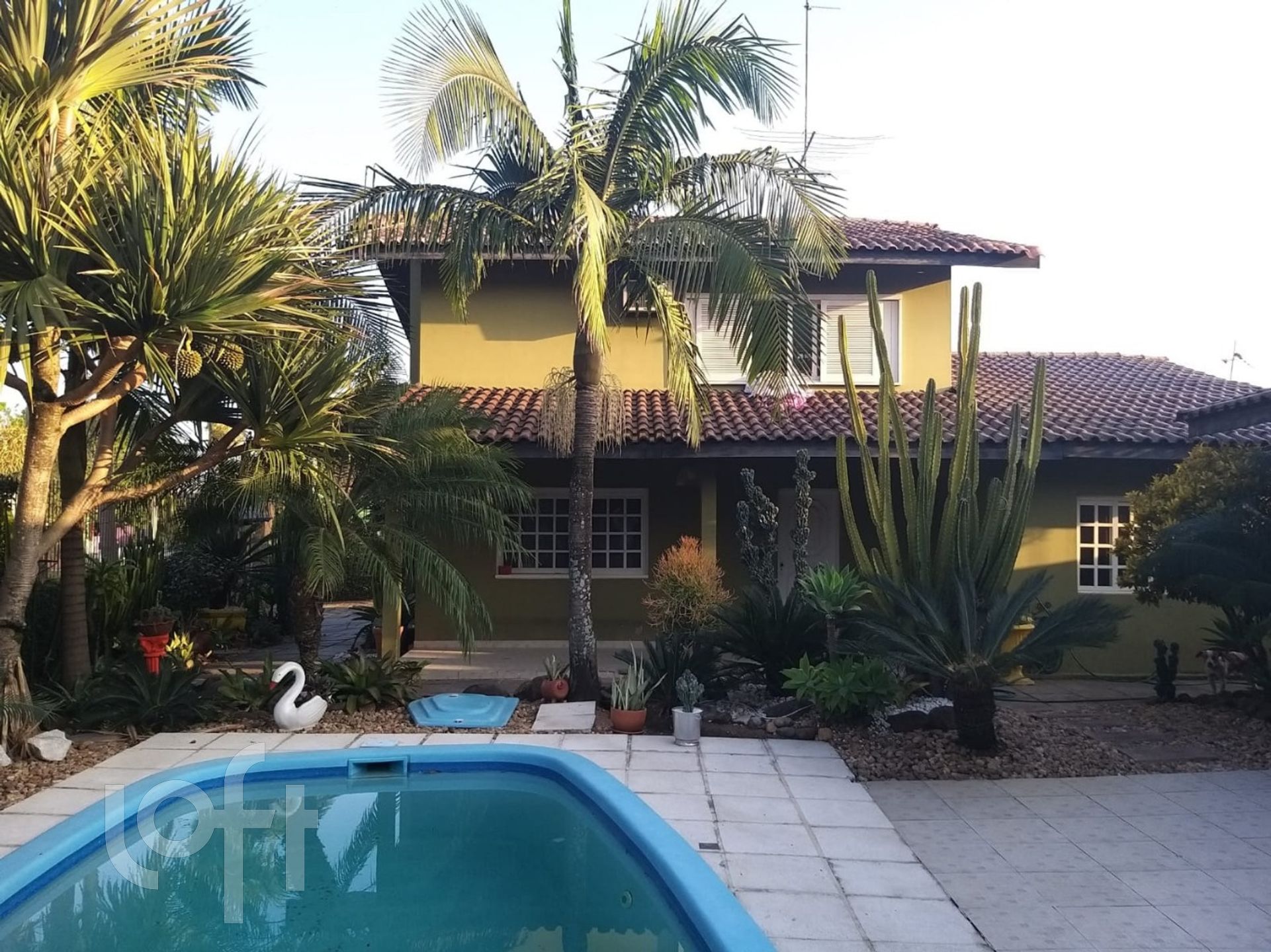 Imagem da propriedade 2