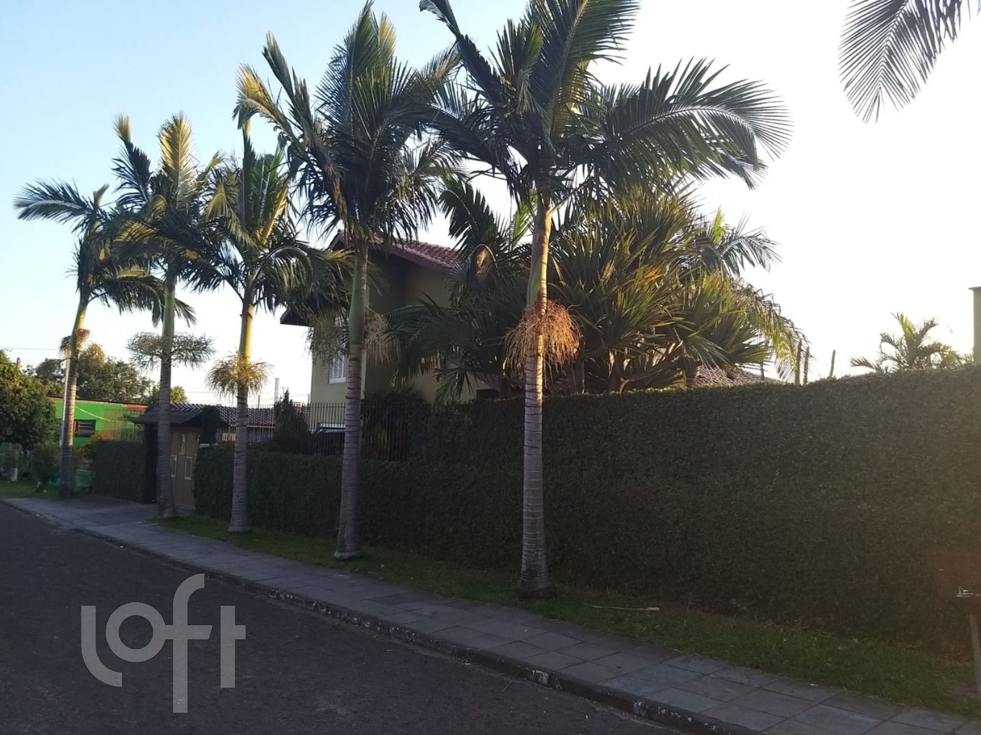 Imagem da propriedade 24