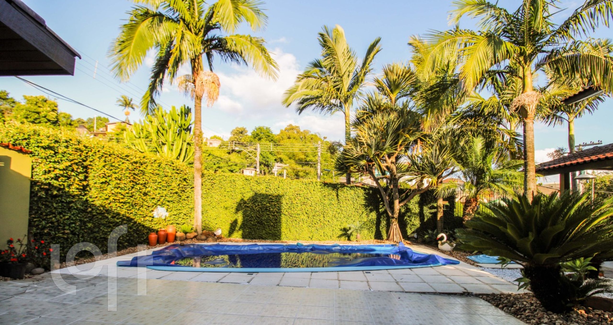 Imagem da propriedade 4