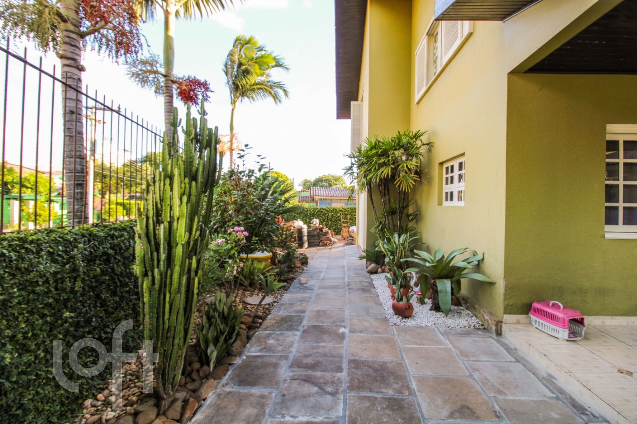 Imagem da propriedade 3