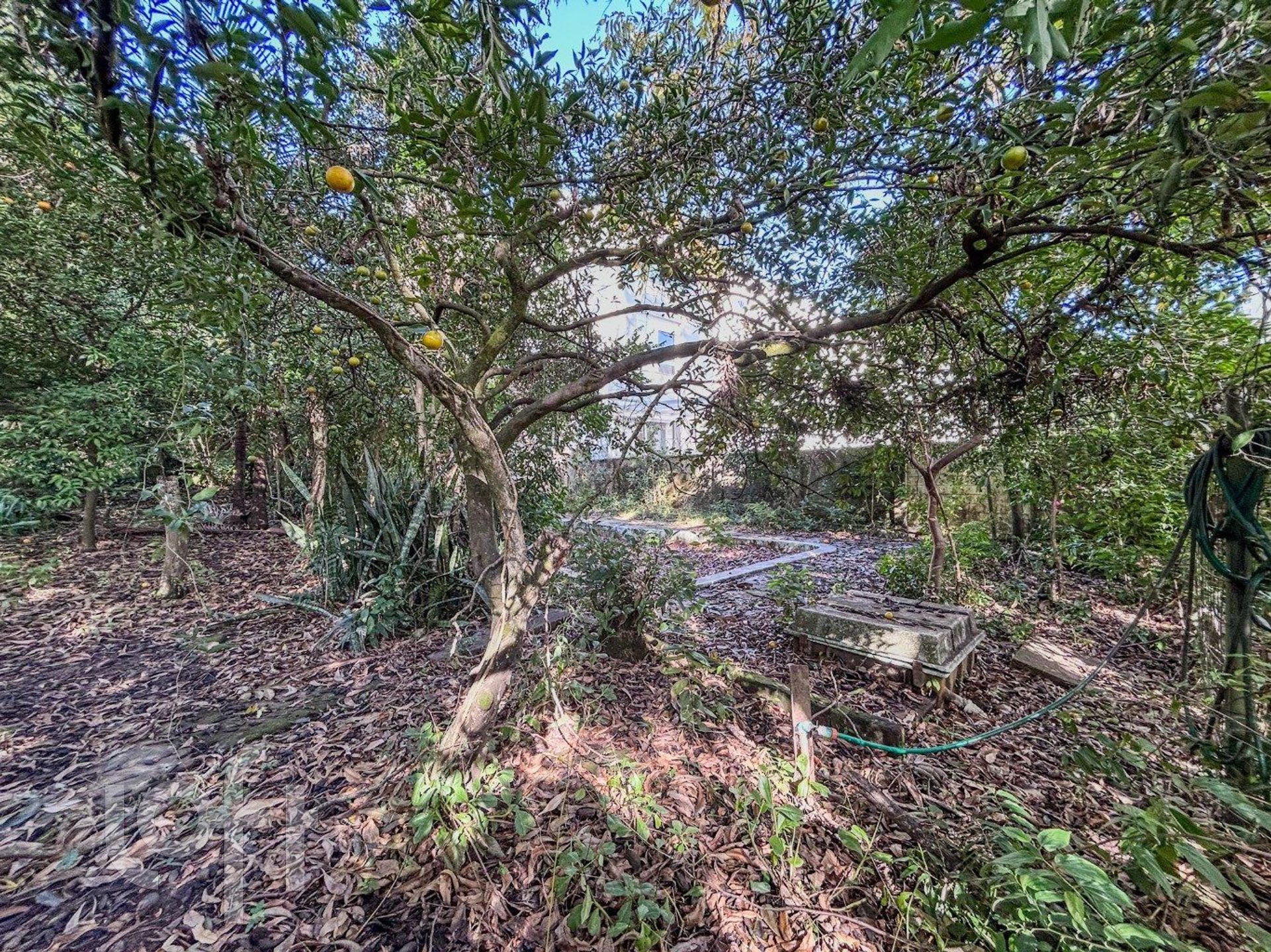 Imagem da propriedade 72