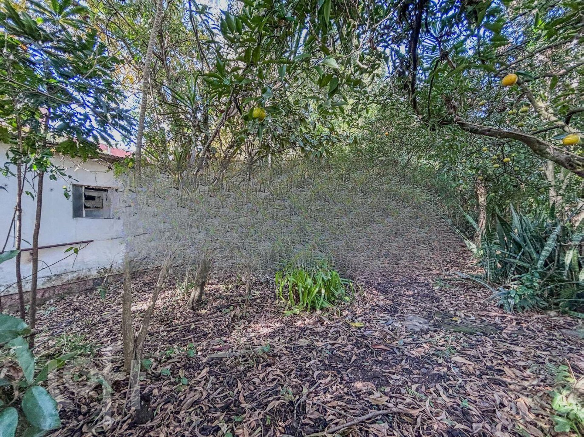 Imagem da propriedade 71