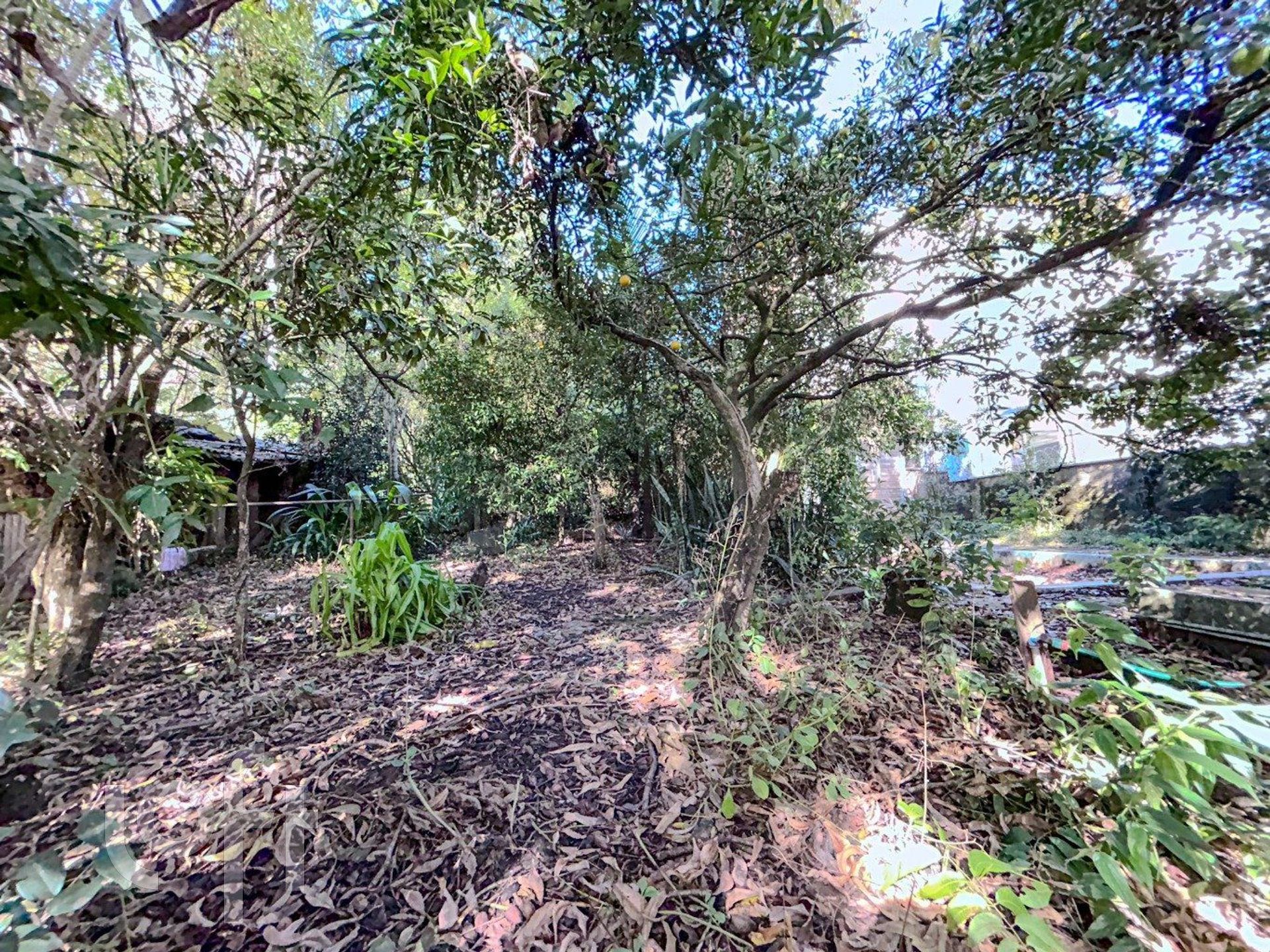 Imagem da propriedade 76