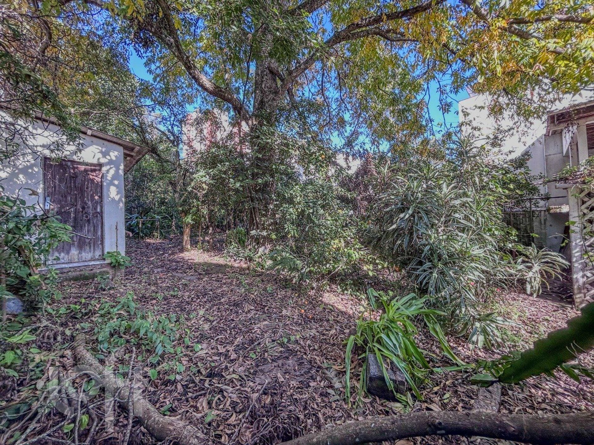 Imagem da propriedade 75