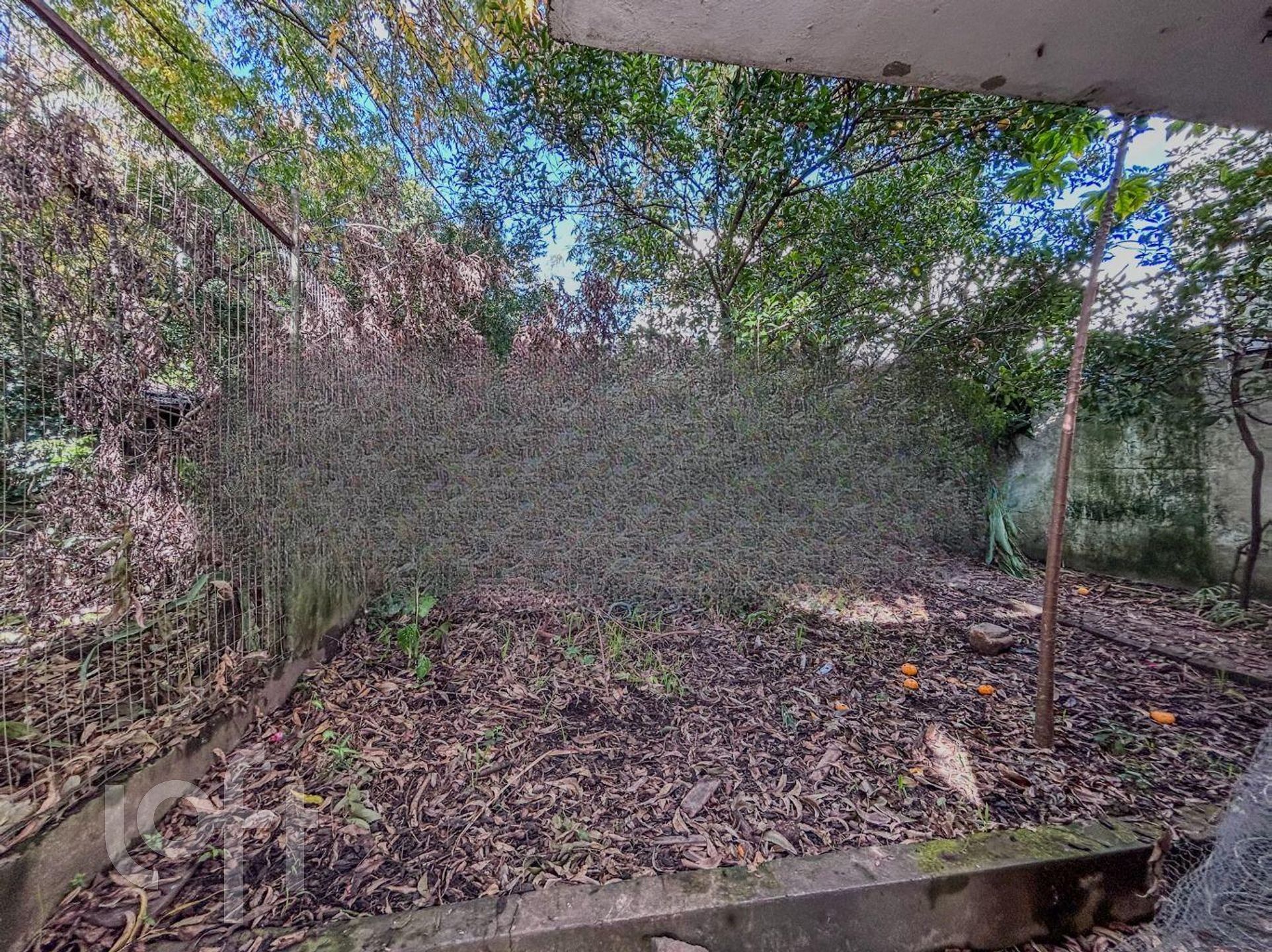 Imagem da propriedade 66