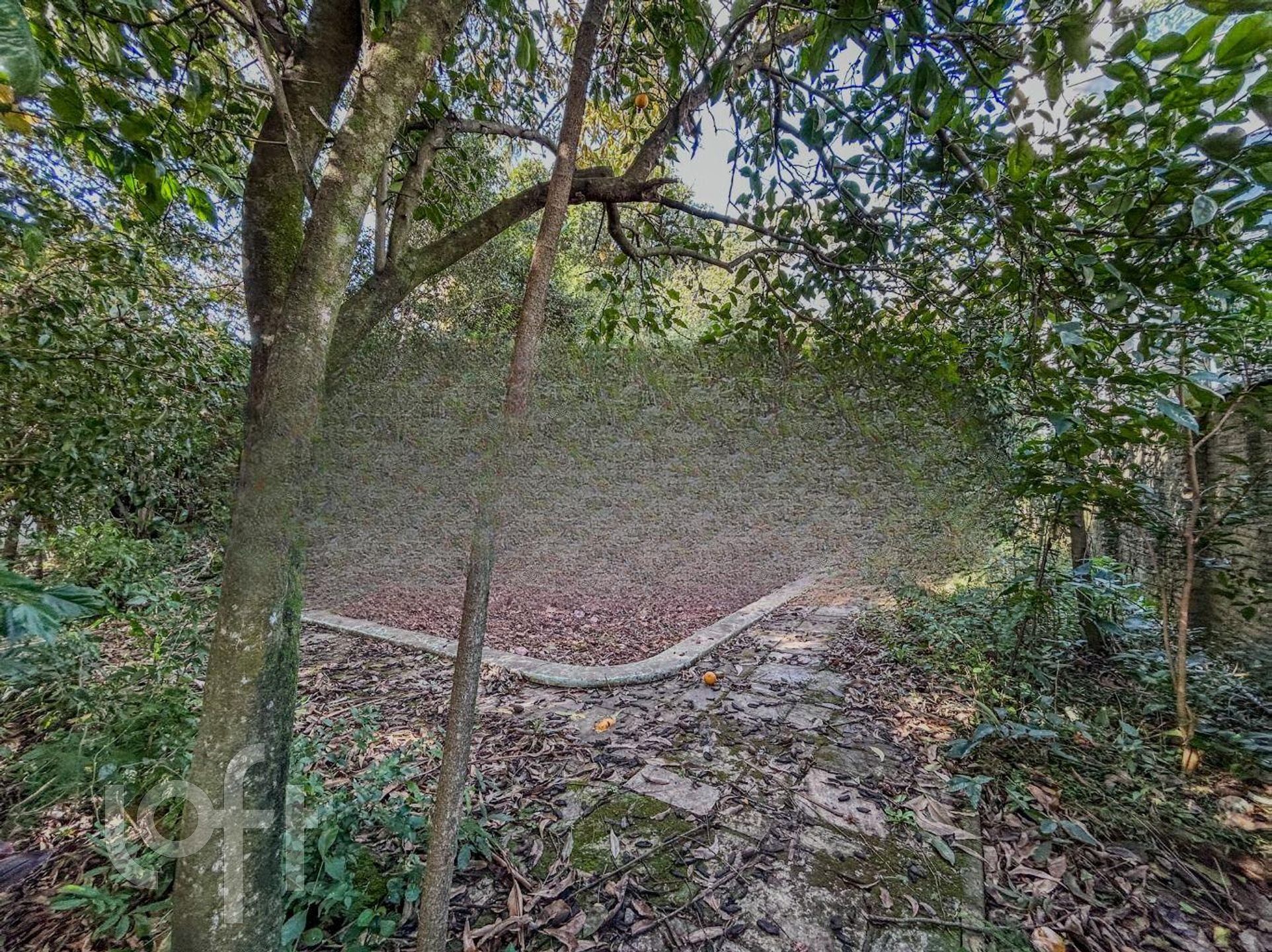 Imagem da propriedade 67