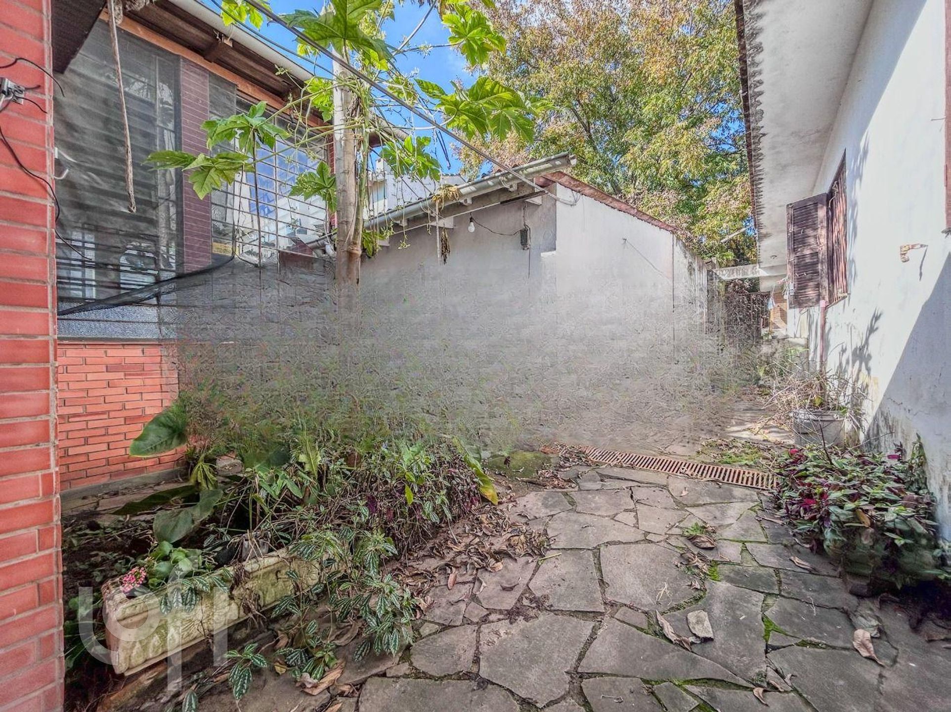 Imagem da propriedade 44