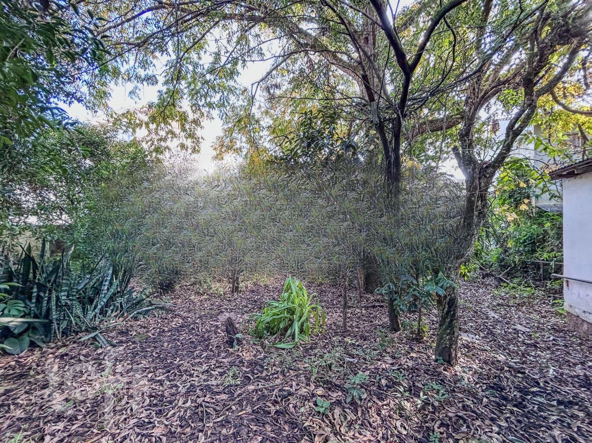 Imagem da propriedade 74