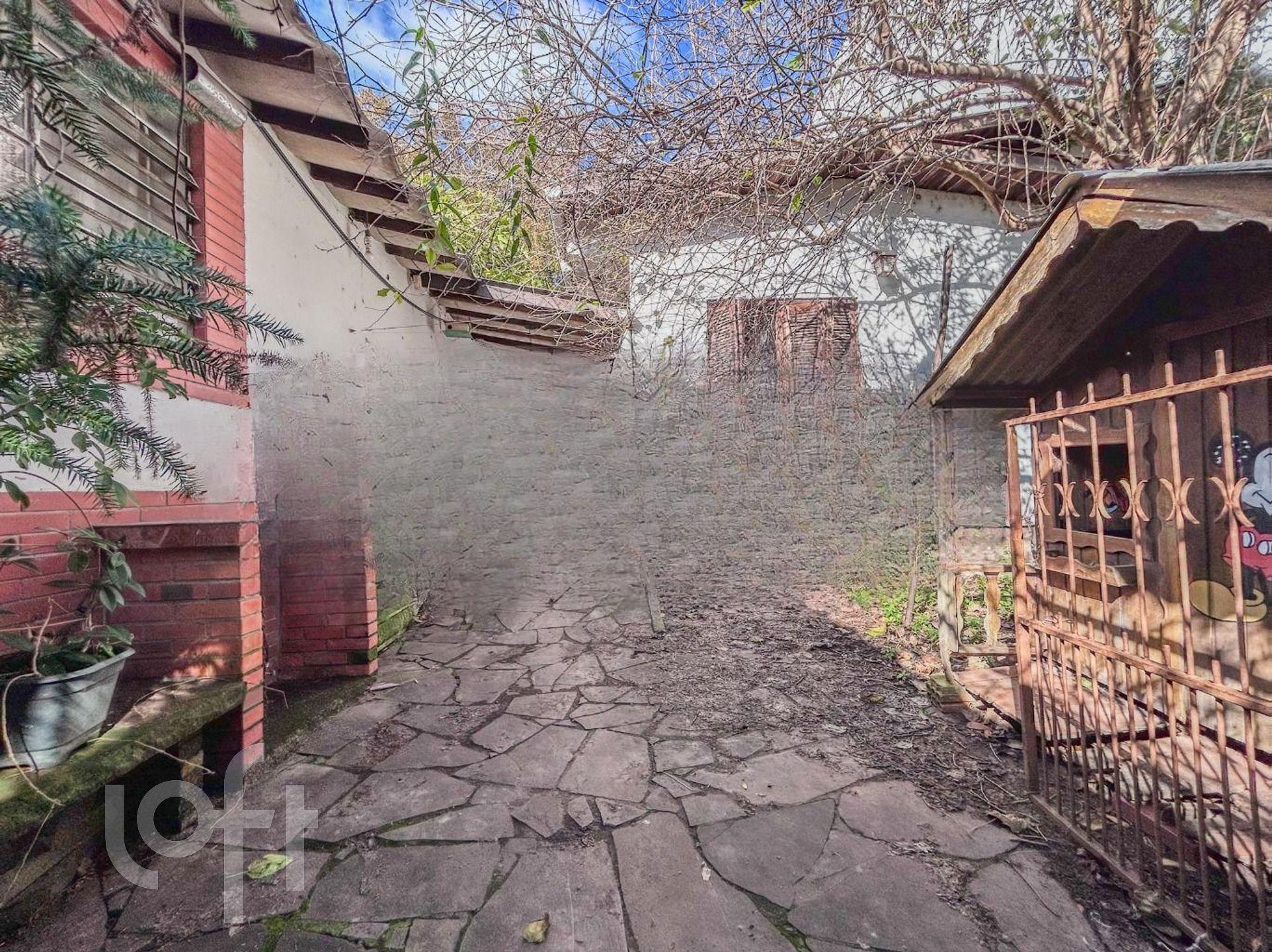 Imagem da propriedade 45