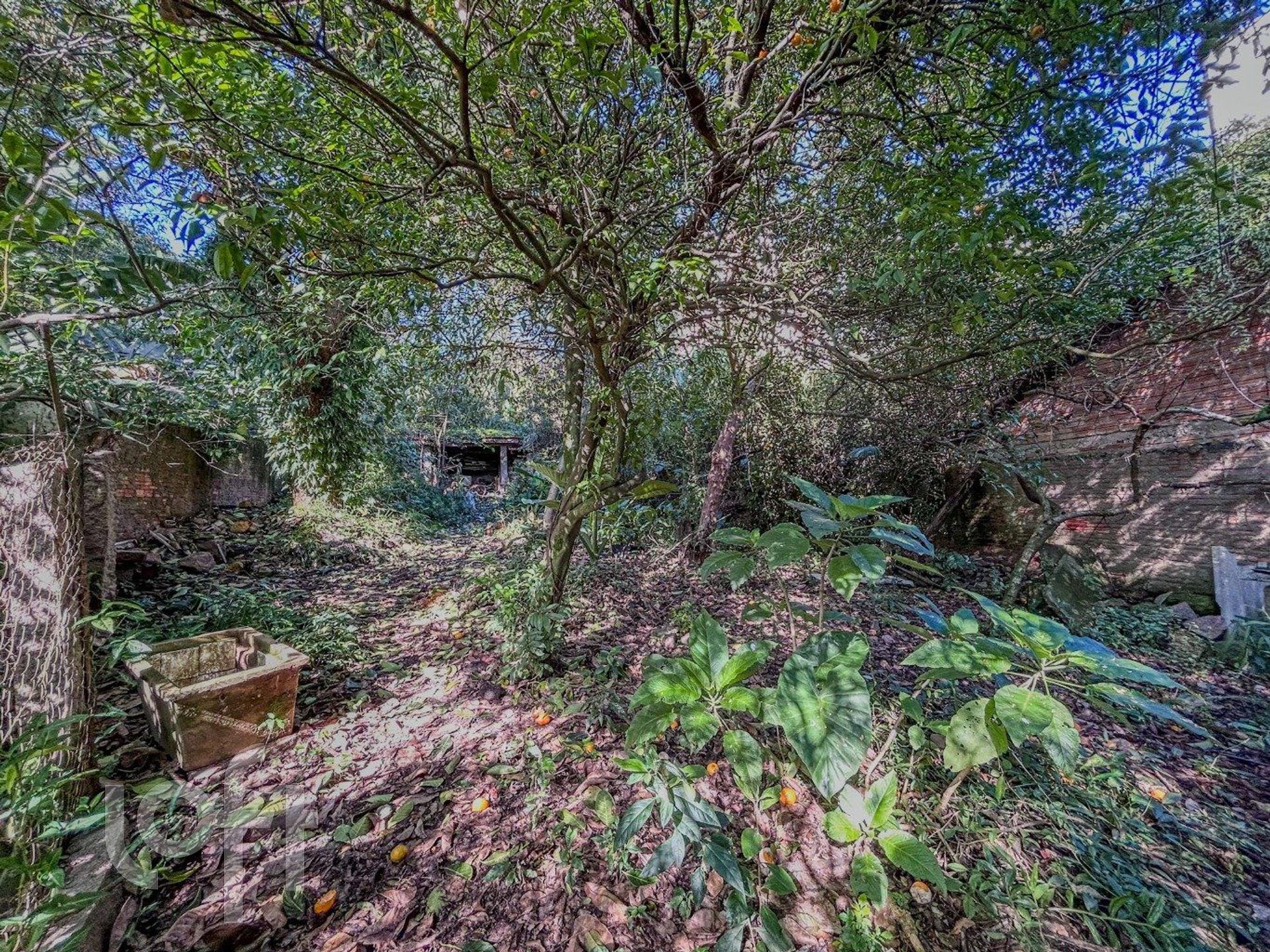 Imagem da propriedade 73