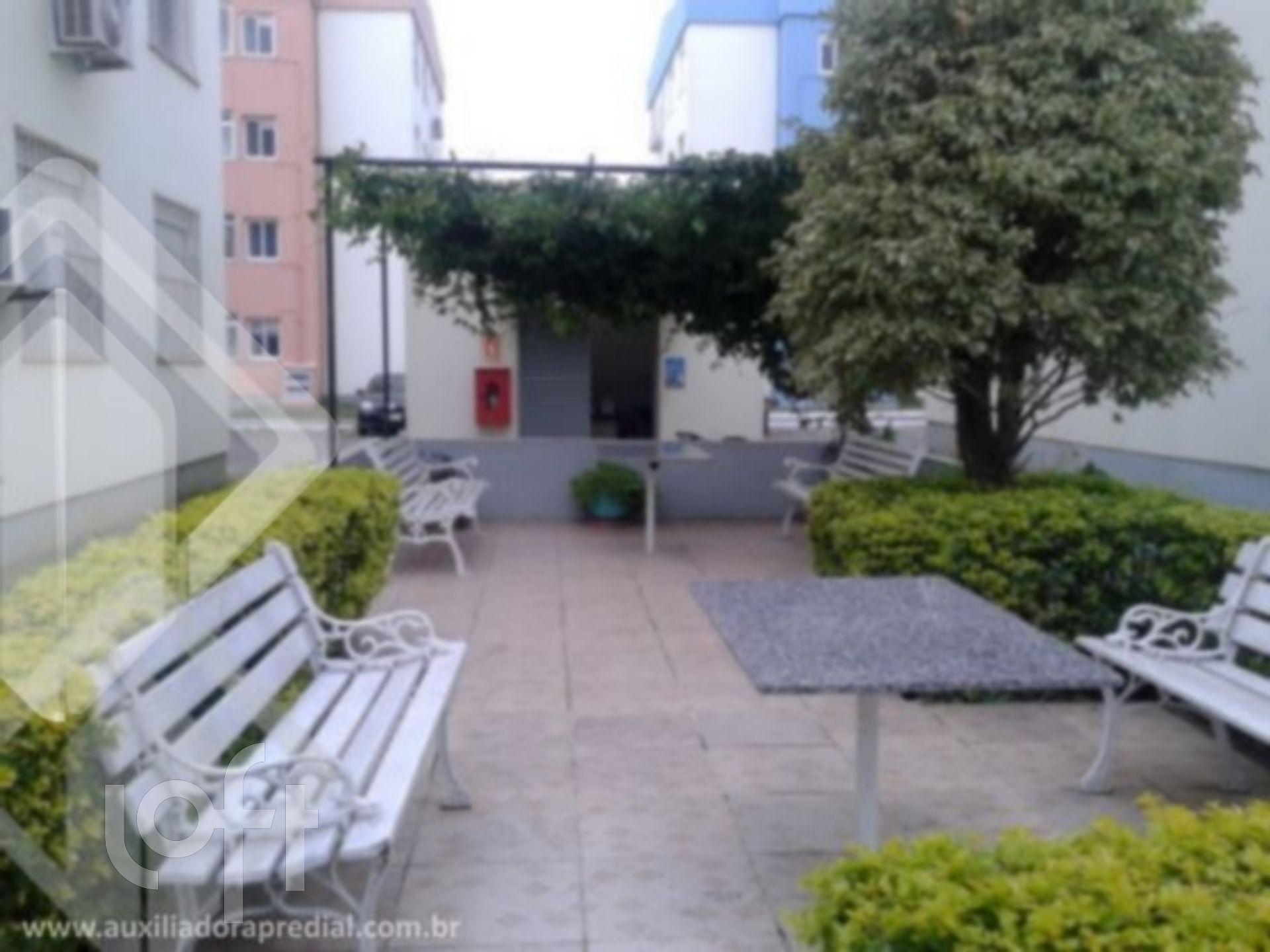 Imagem da propriedade 2