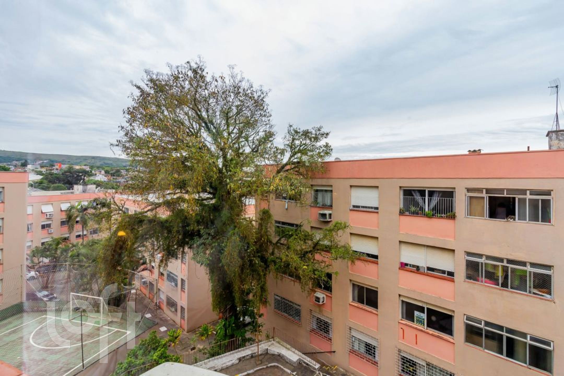 Imagem da propriedade 17