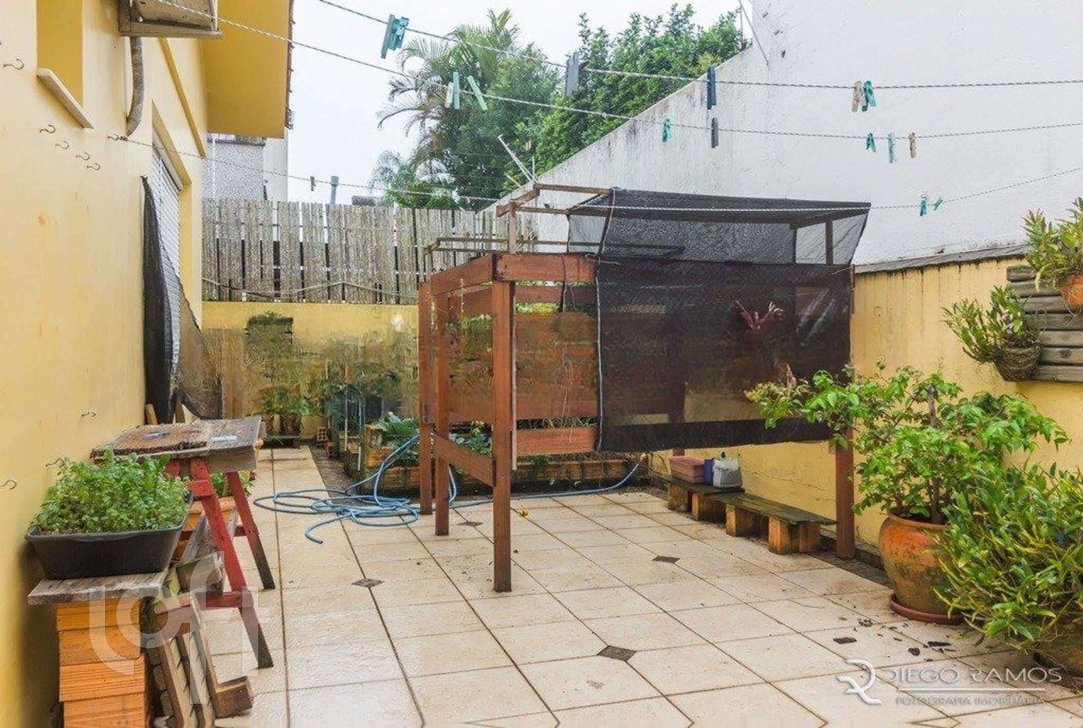 Imagem da propriedade 13