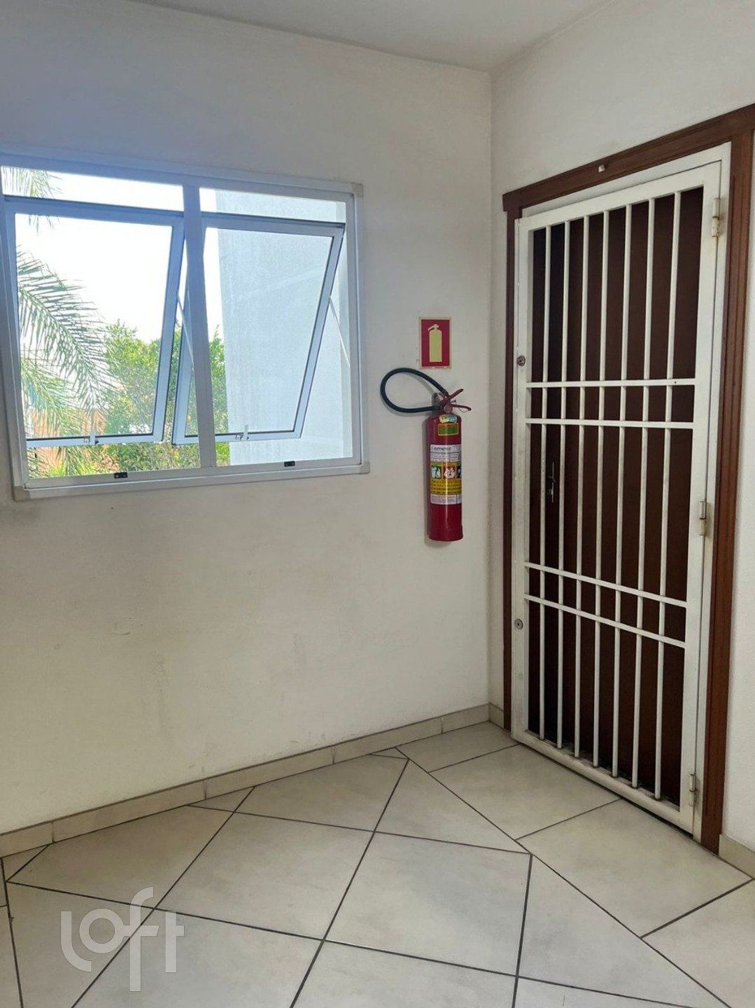 Imagem da propriedade 3