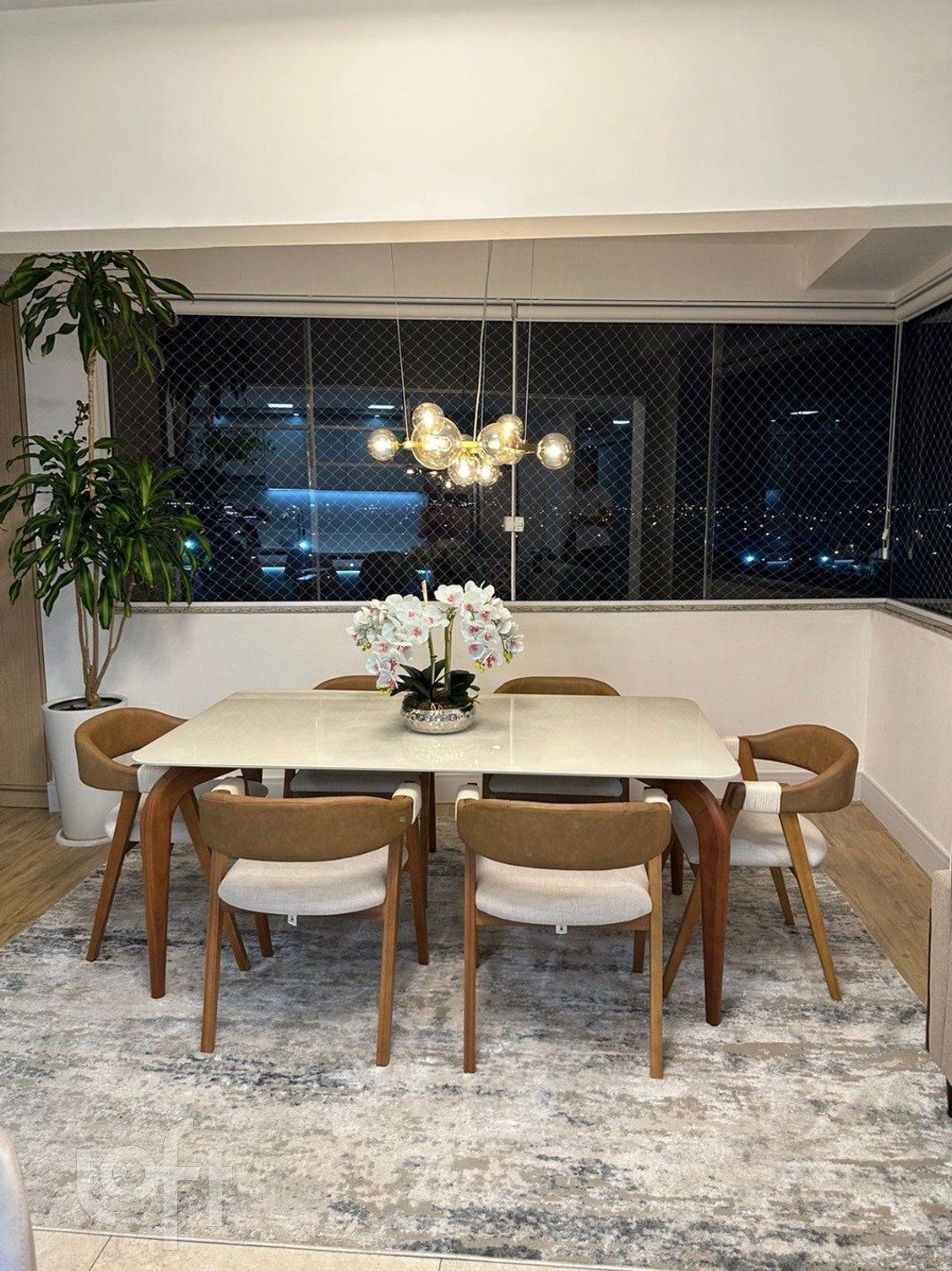 Imagem da propriedade 34