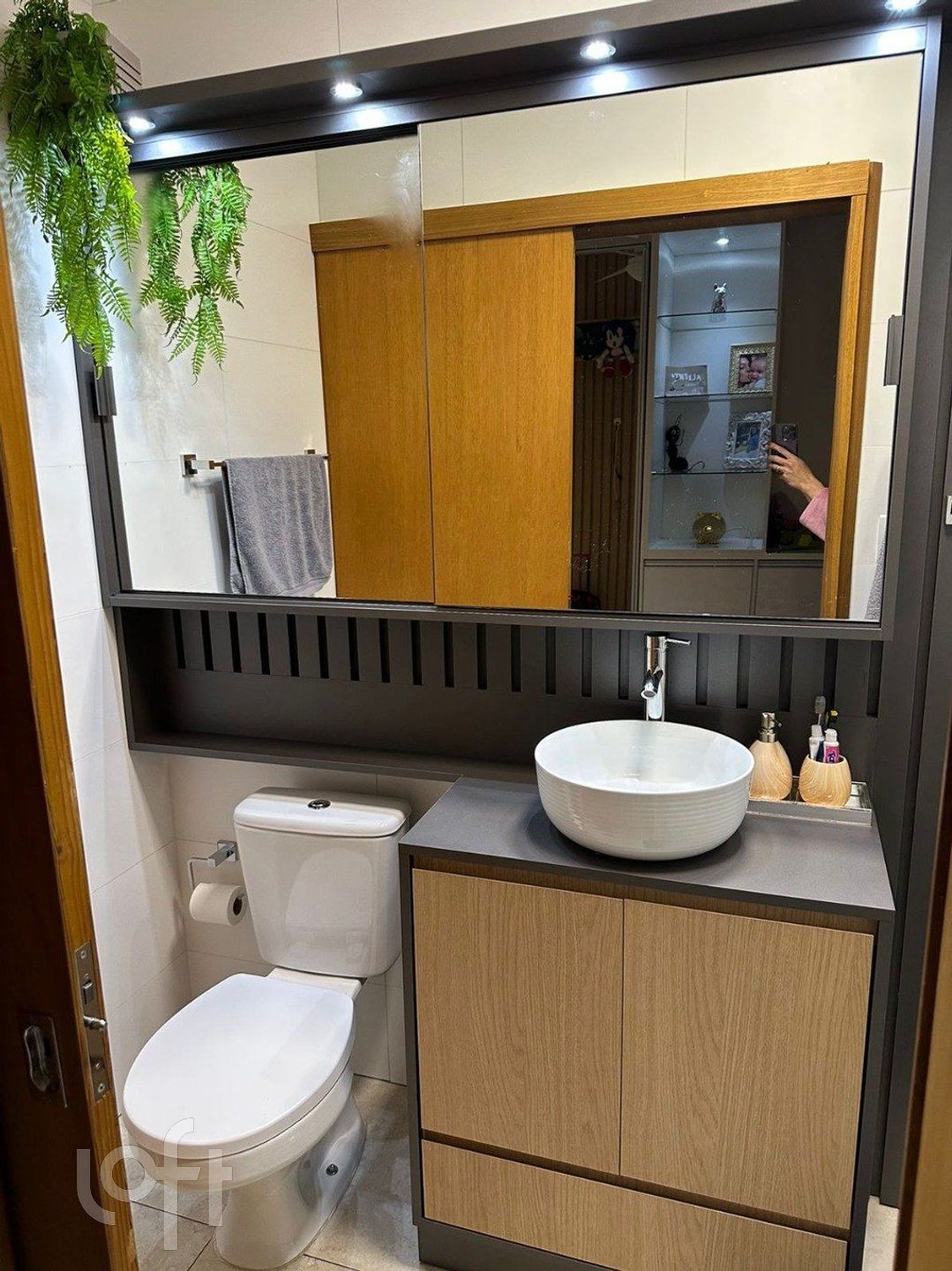 Imagem da propriedade 43