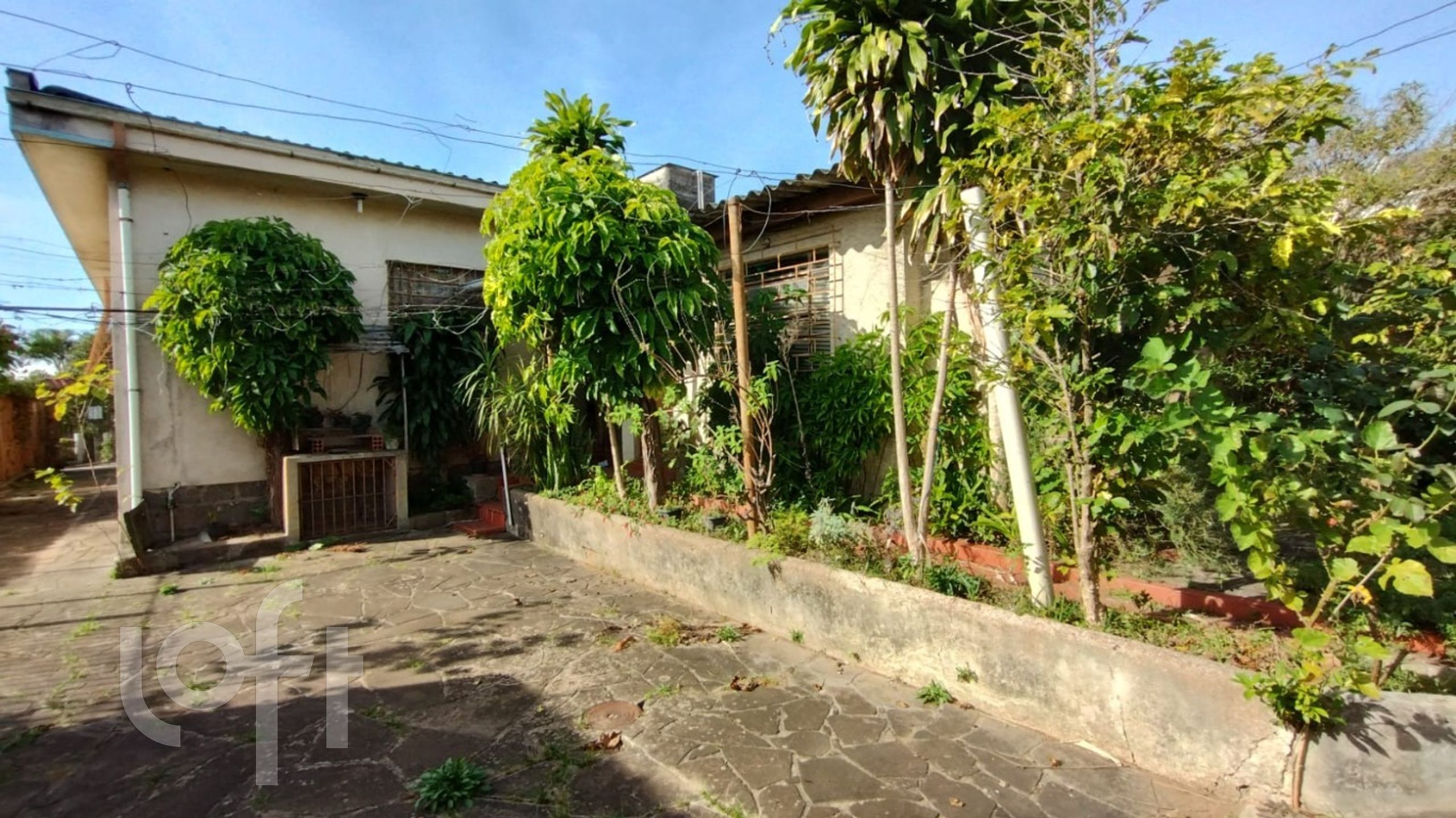 Imagem da propriedade 8