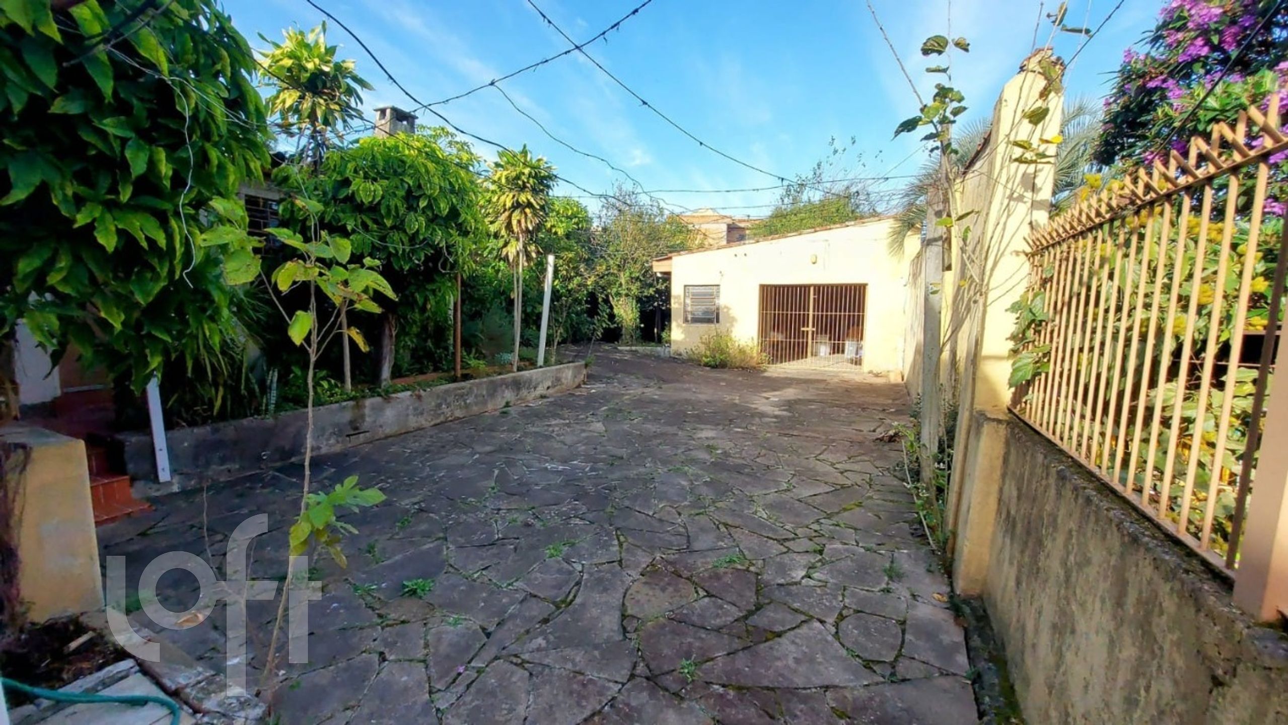 Imagem da propriedade 10