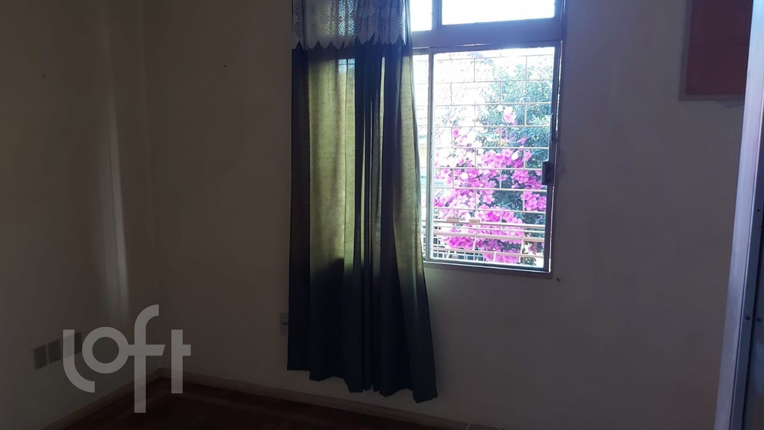 Imagem da propriedade 15