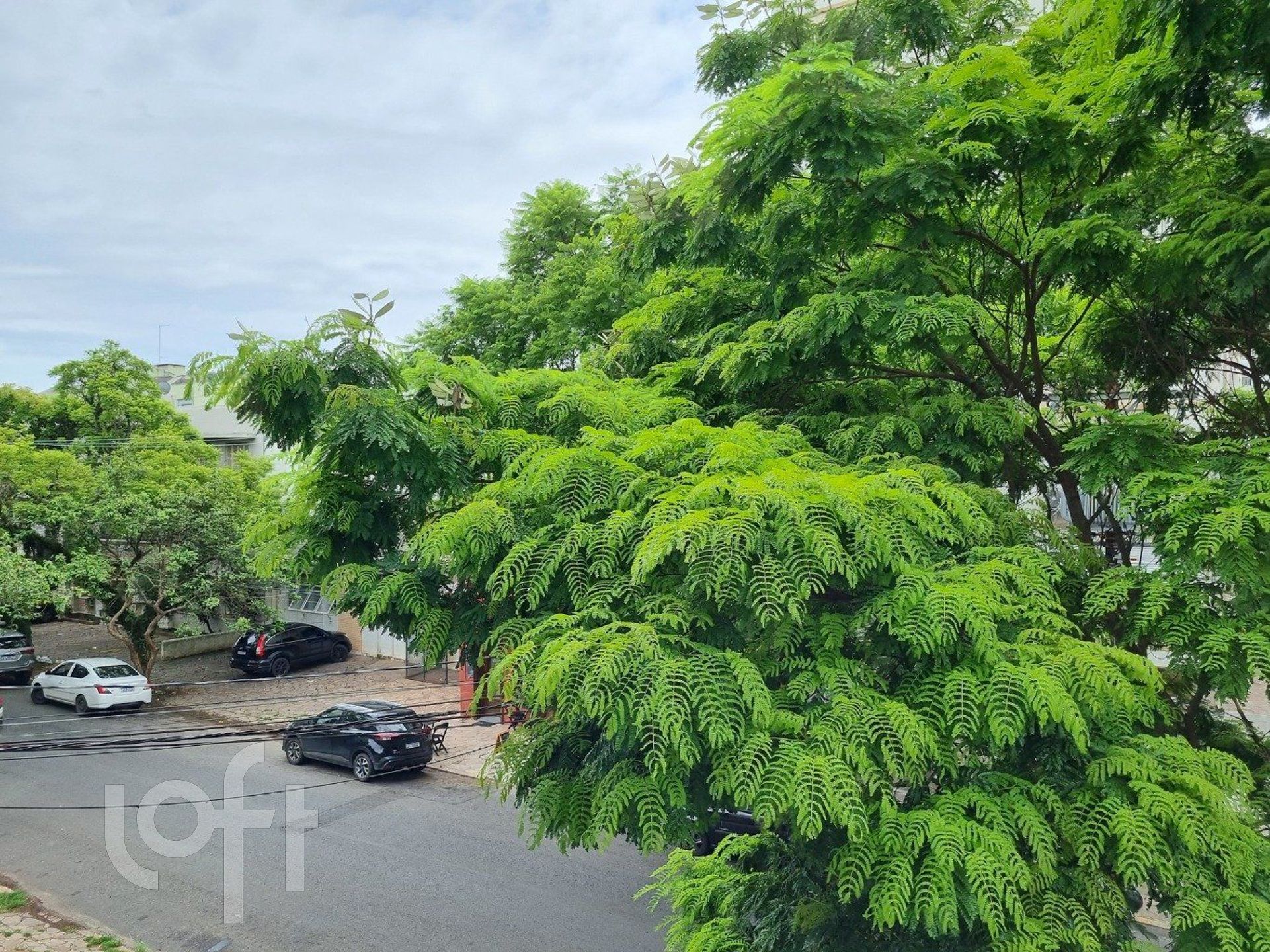 Imagem da propriedade 13