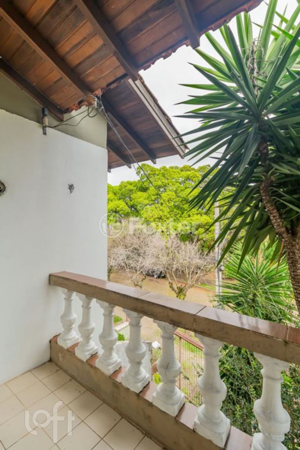 Imagem da propriedade 21