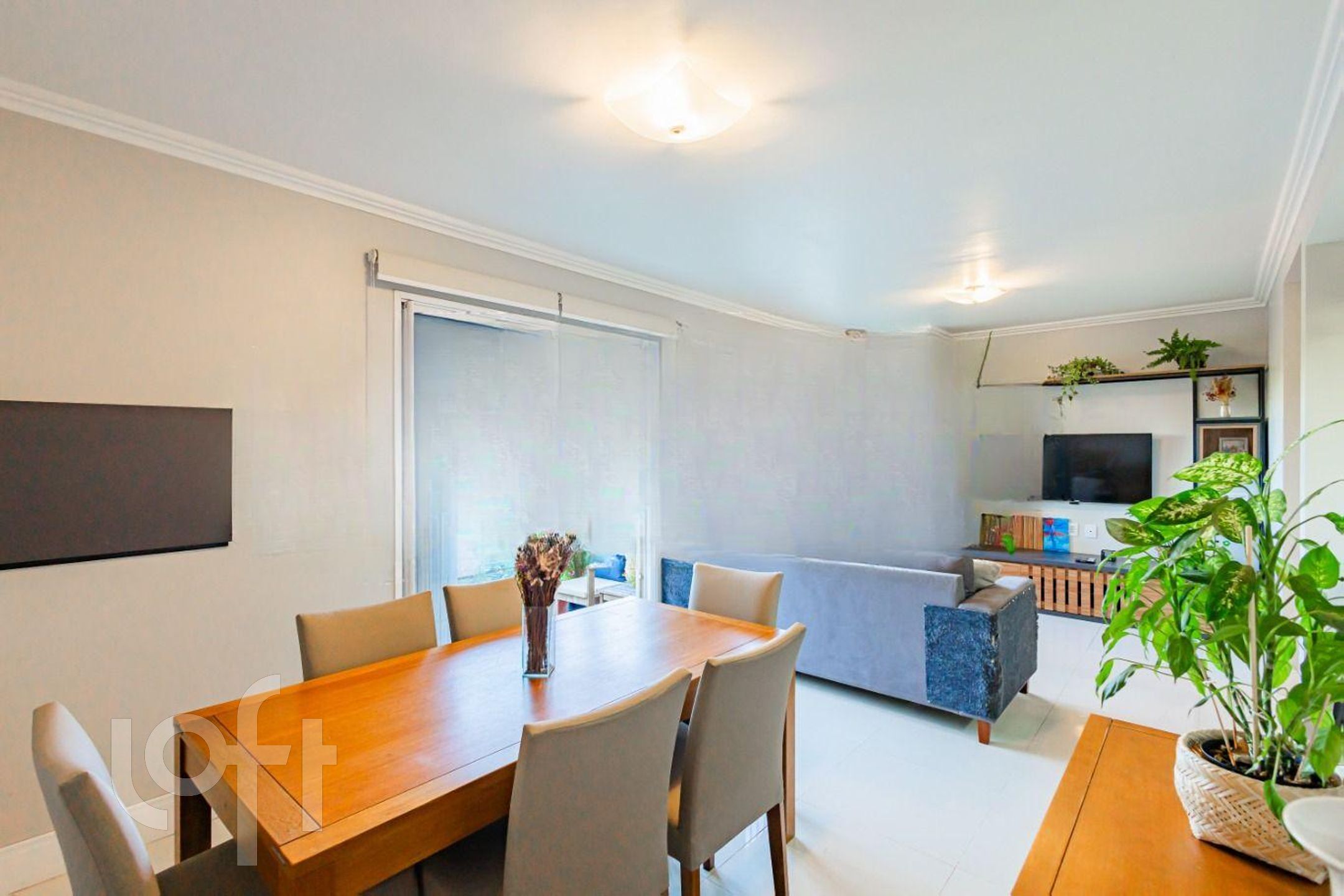 Imagem da propriedade 14