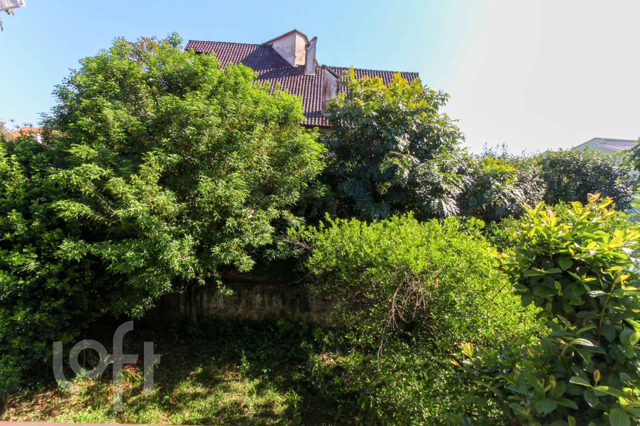 Imagem da propriedade 35