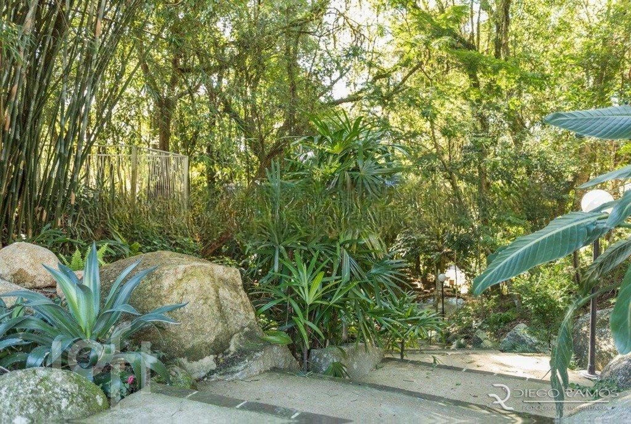 Imagem da propriedade 45