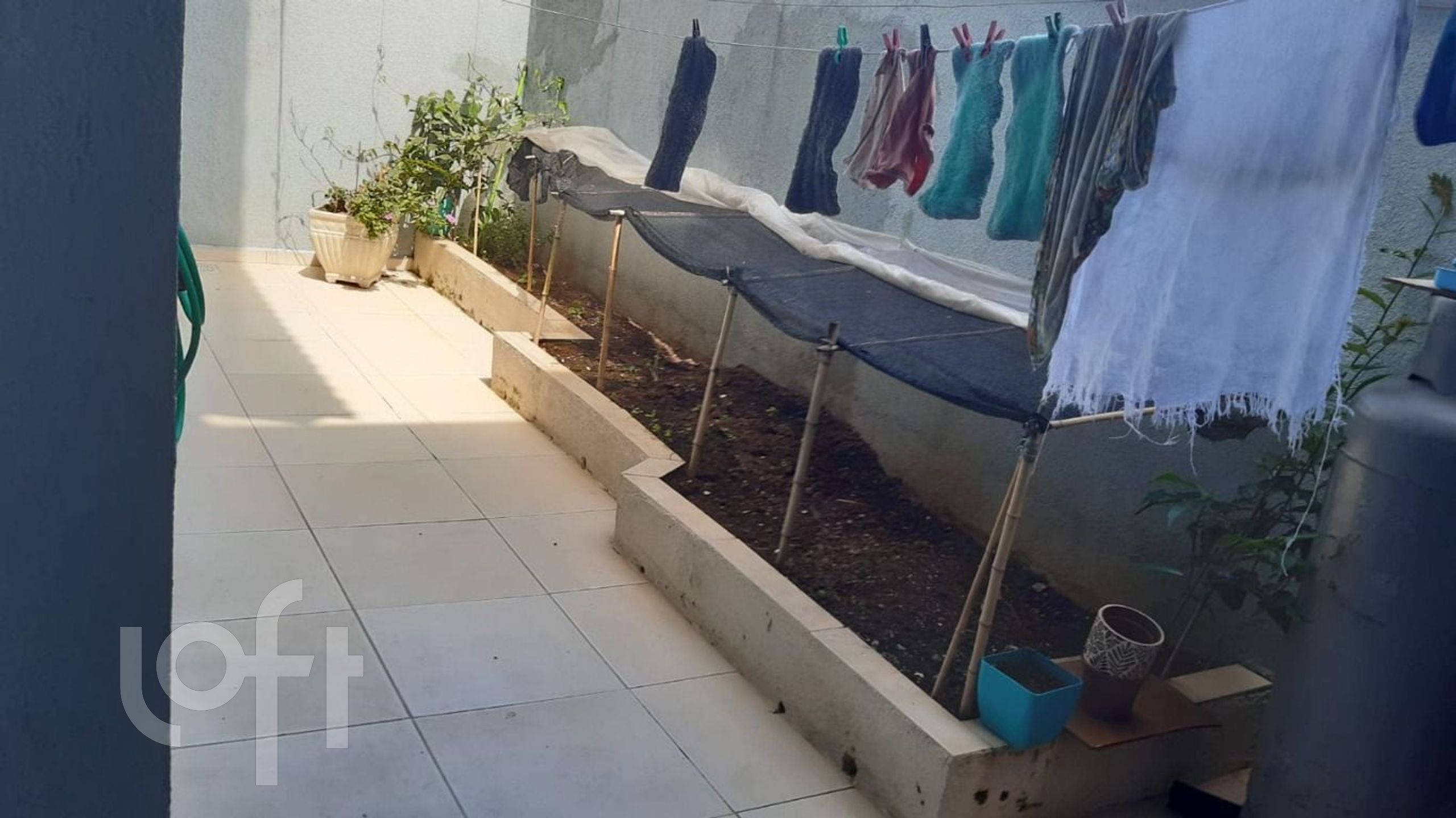 Imagem da propriedade 11