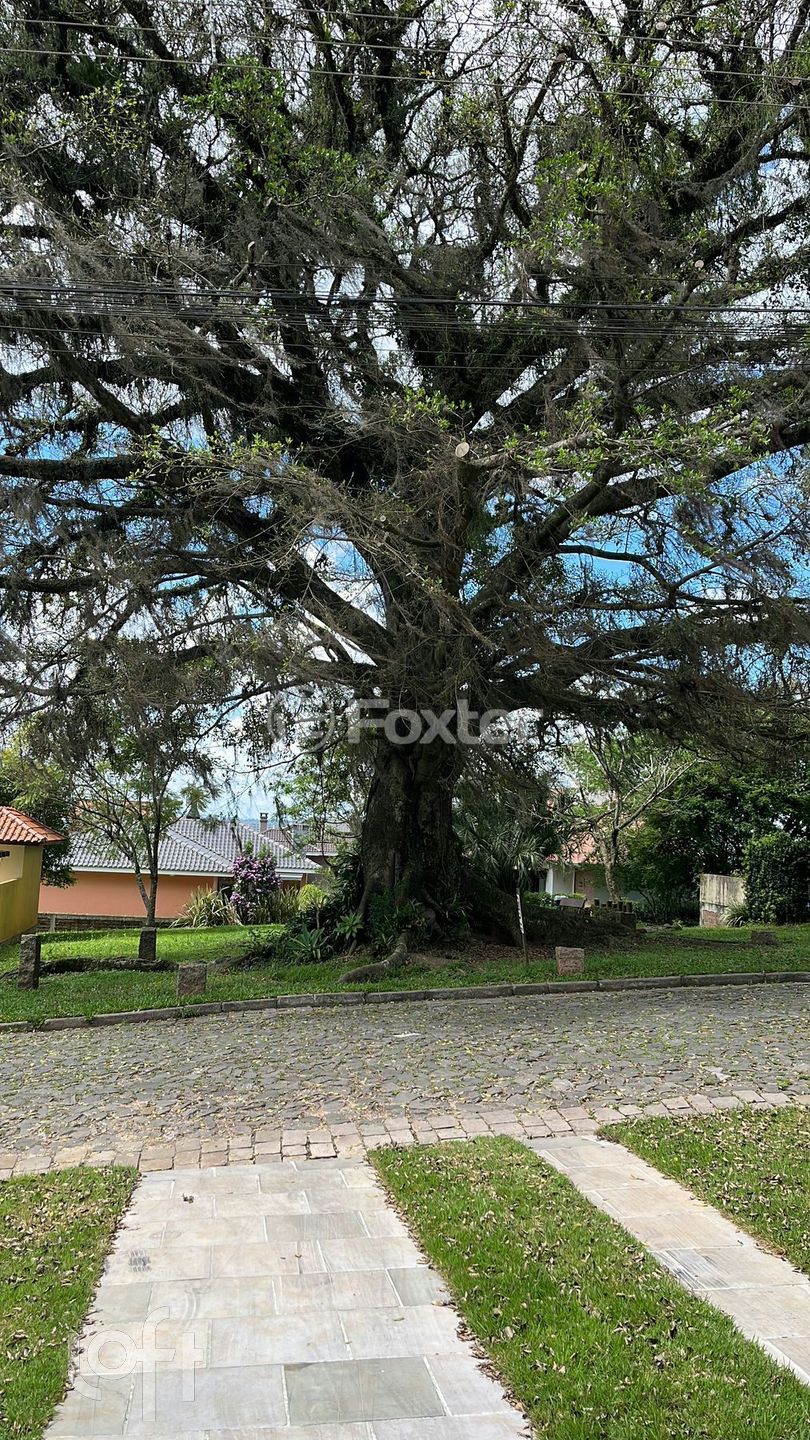 Imagem da propriedade 42
