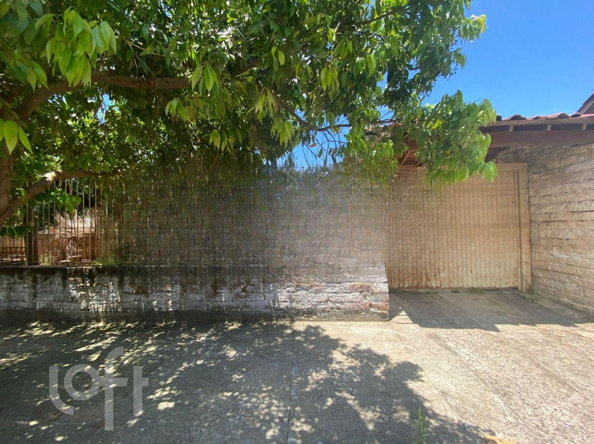 Imagem da propriedade 3