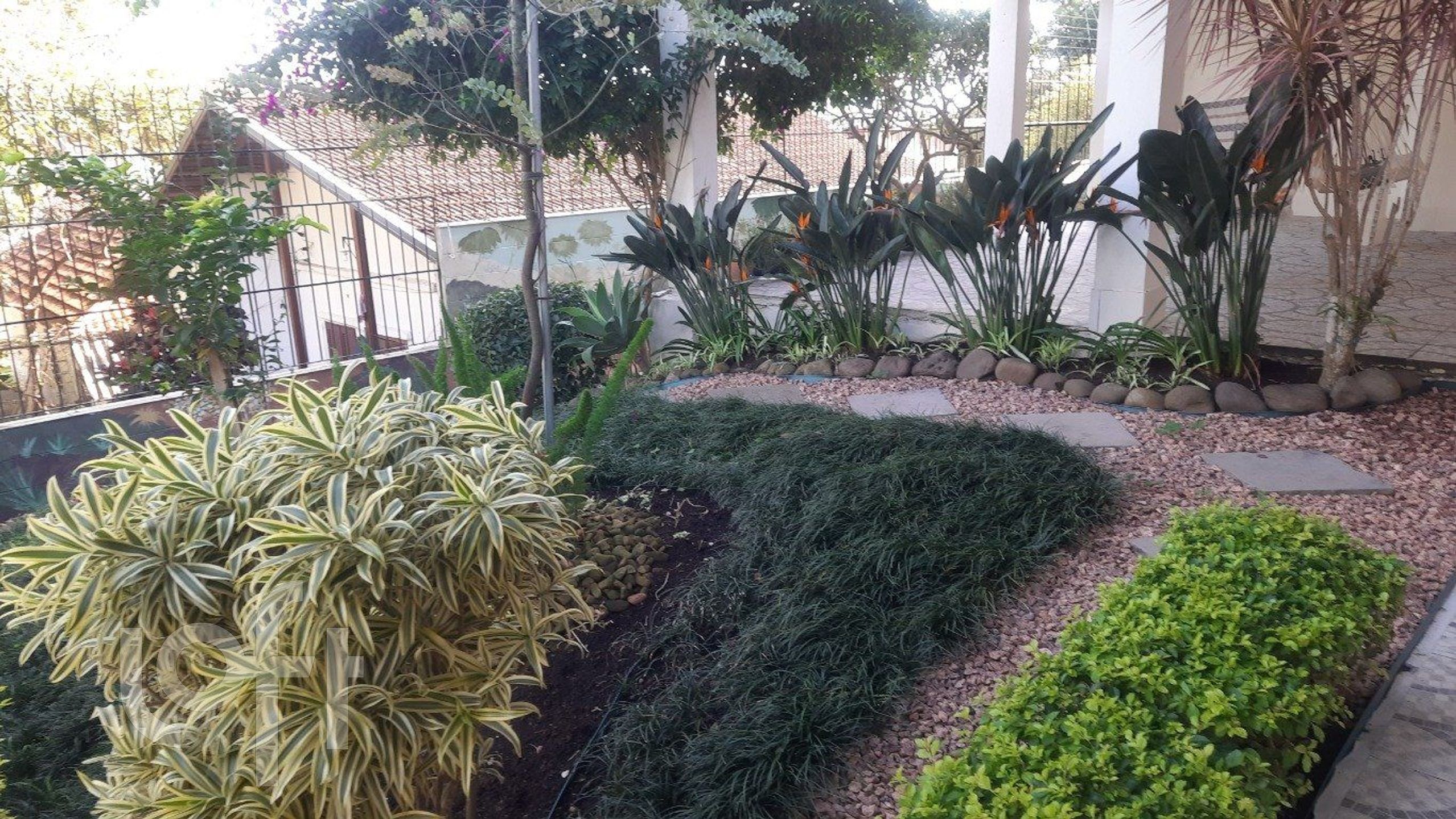 Imagem da propriedade 24