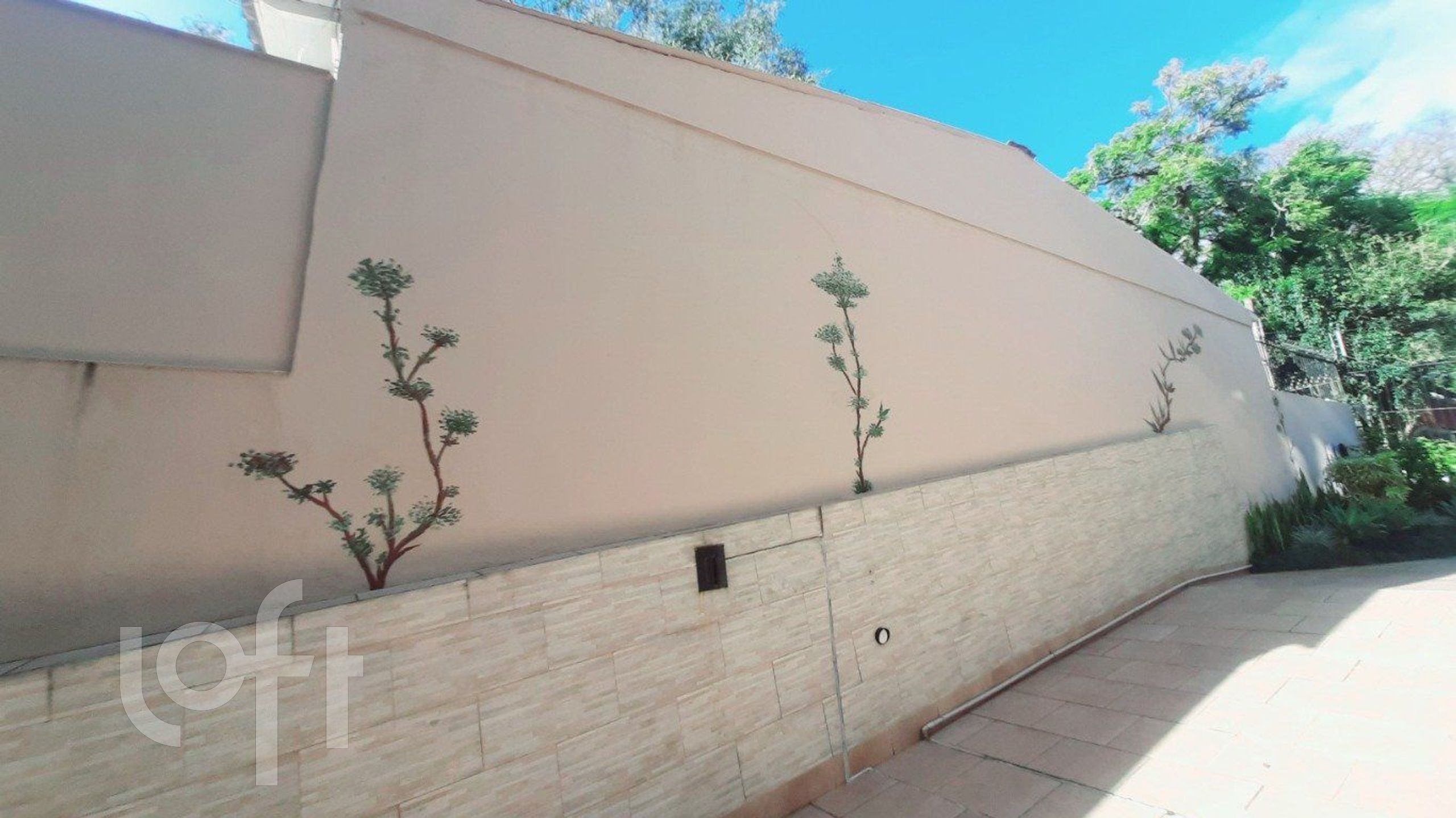 Imagem da propriedade 21