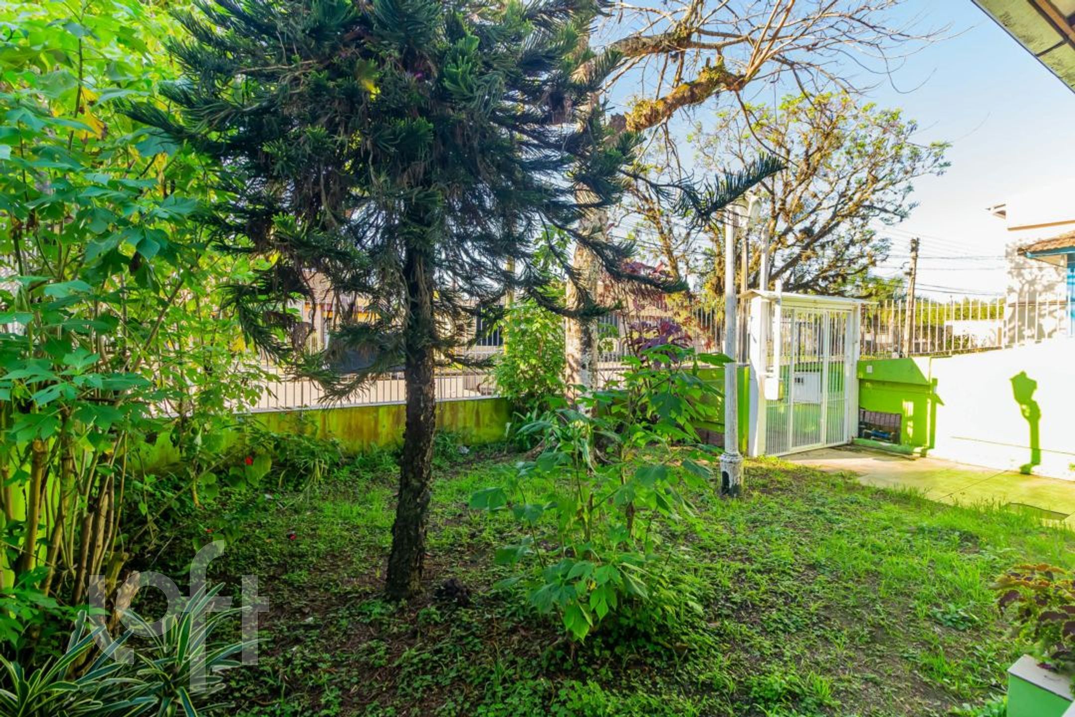 Imagem da propriedade 19