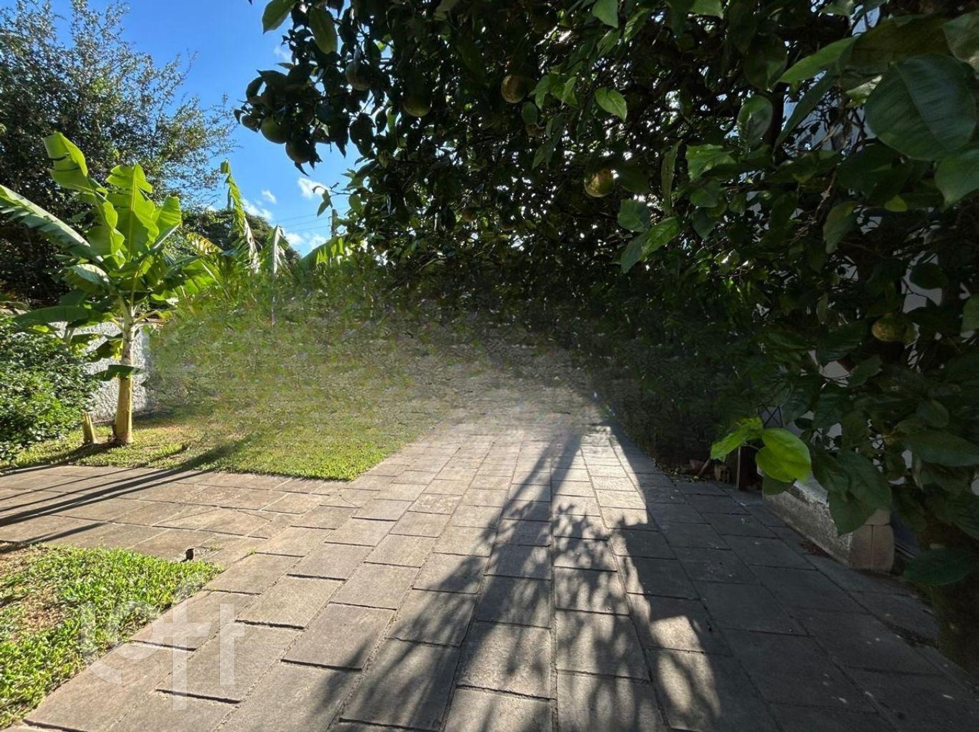 Imagem da propriedade 13