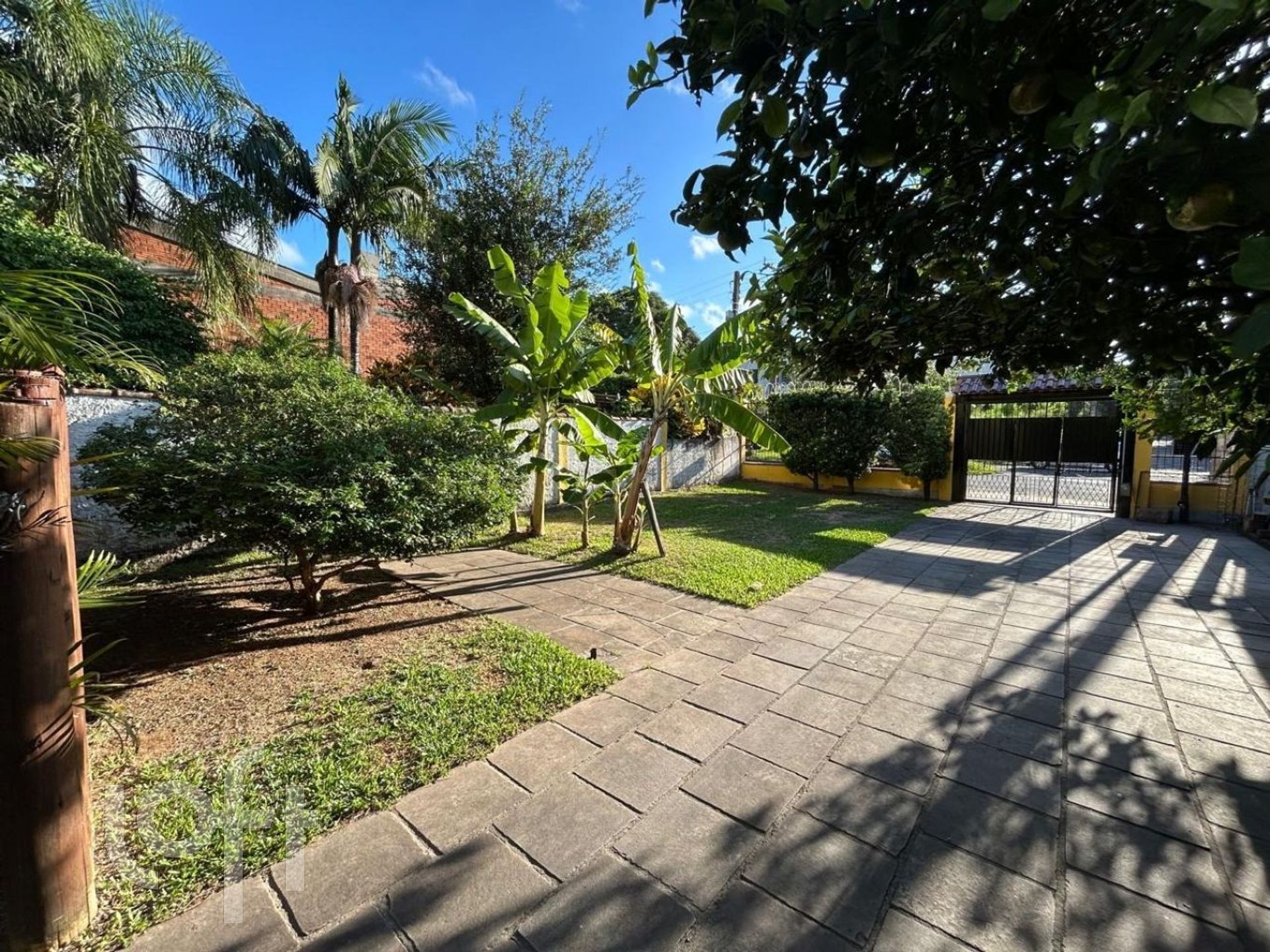 Imagem da propriedade 12