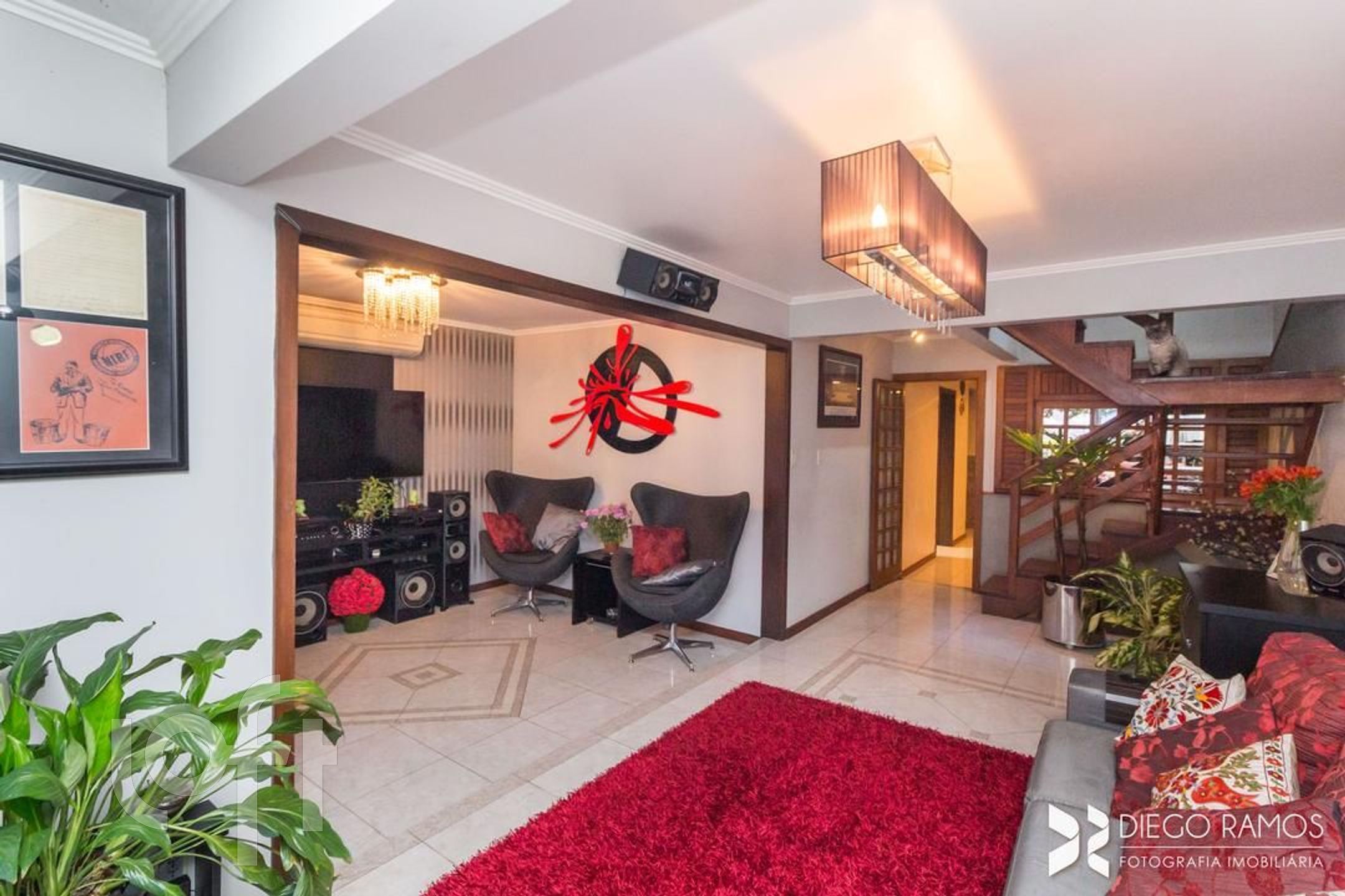 Imagem da propriedade 7