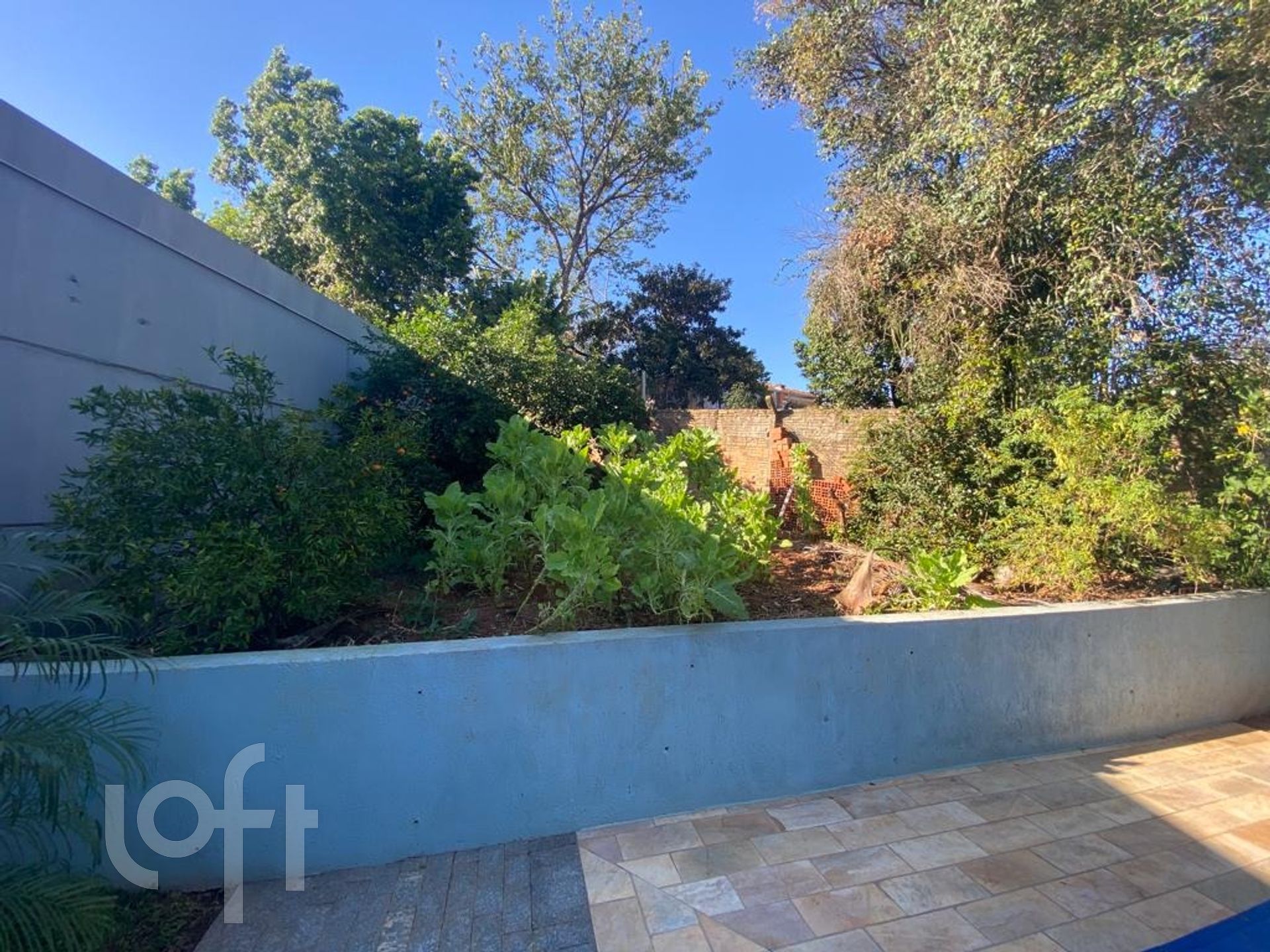 Imagem da propriedade 25