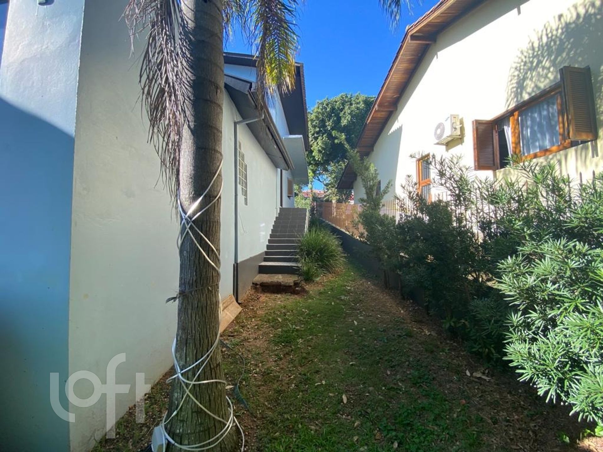 Imagem da propriedade 37