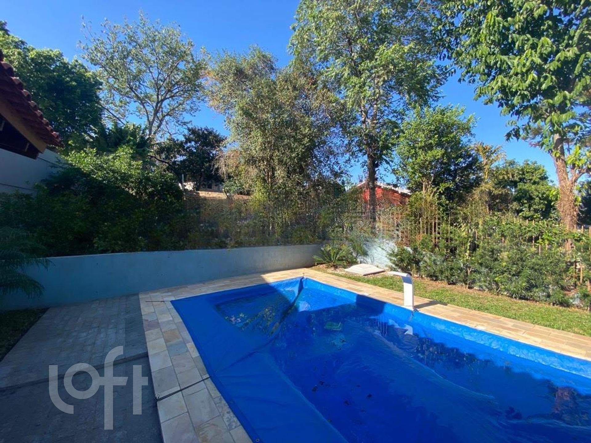 Imagem da propriedade 15