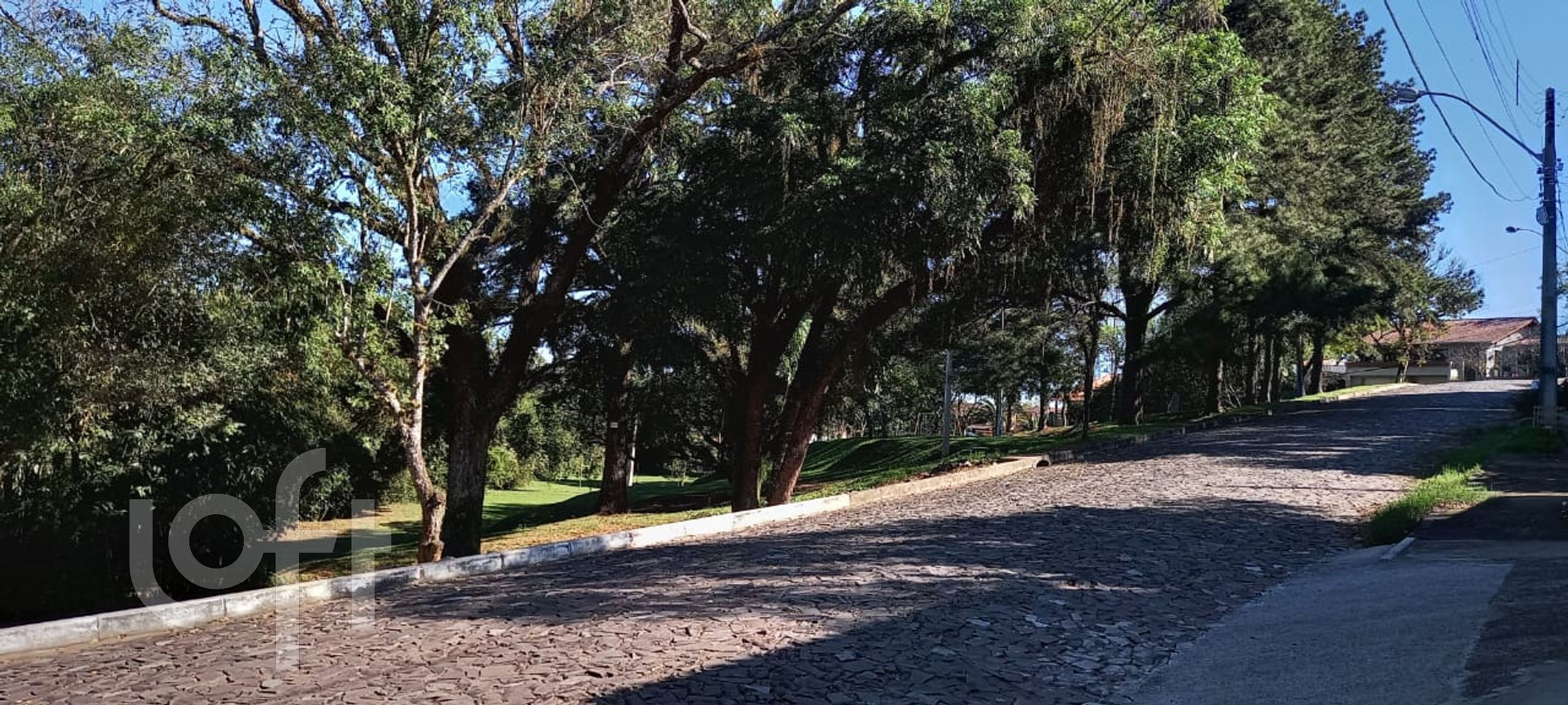 Imagem da propriedade 13