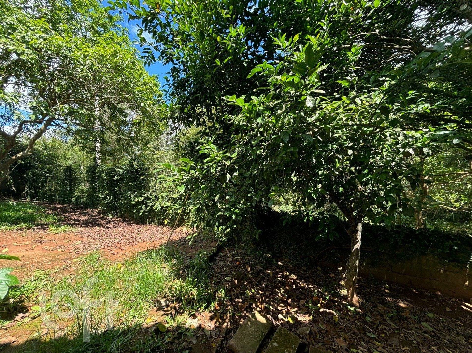 Imagem da propriedade 18