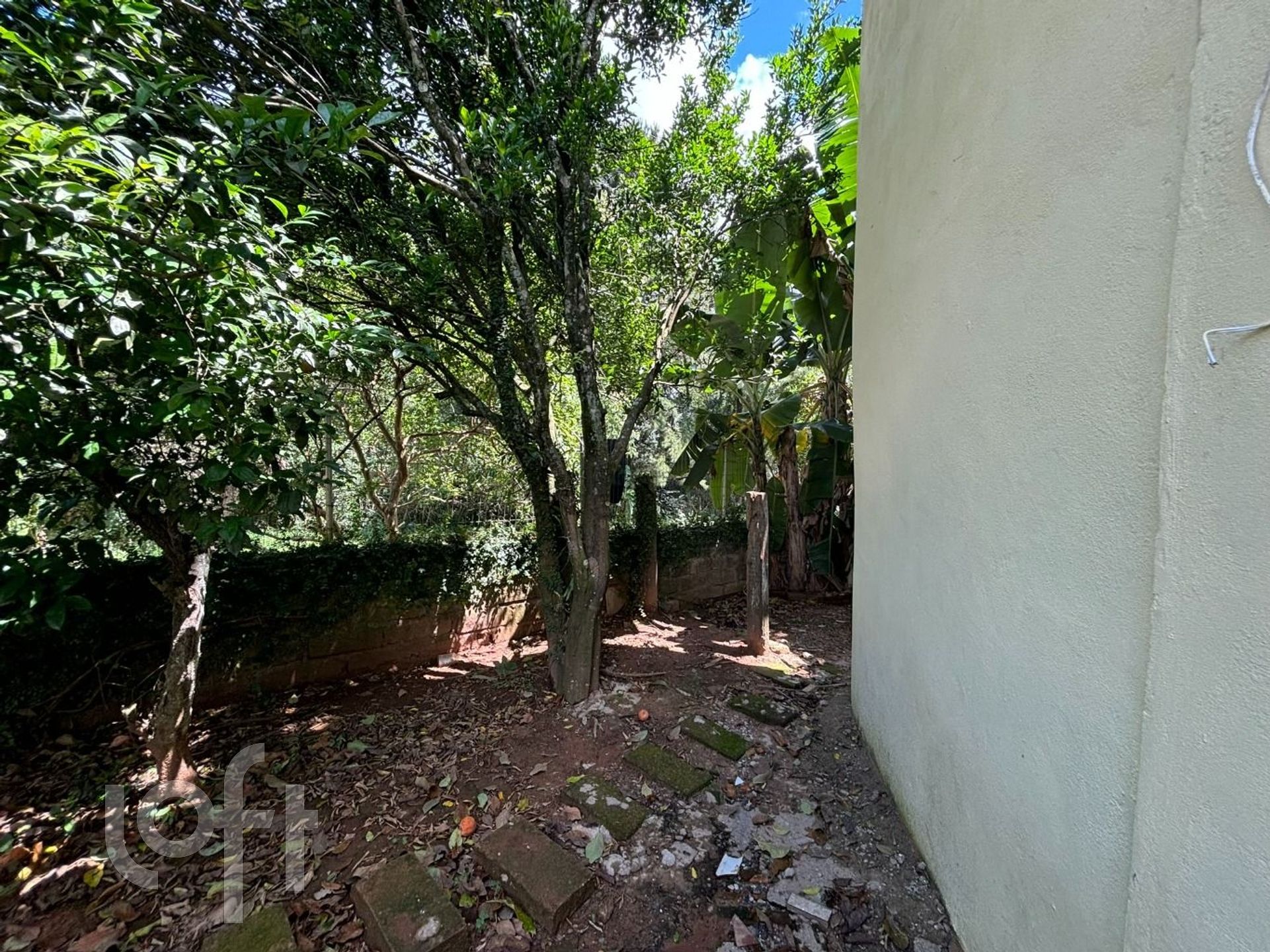 Imagem da propriedade 19