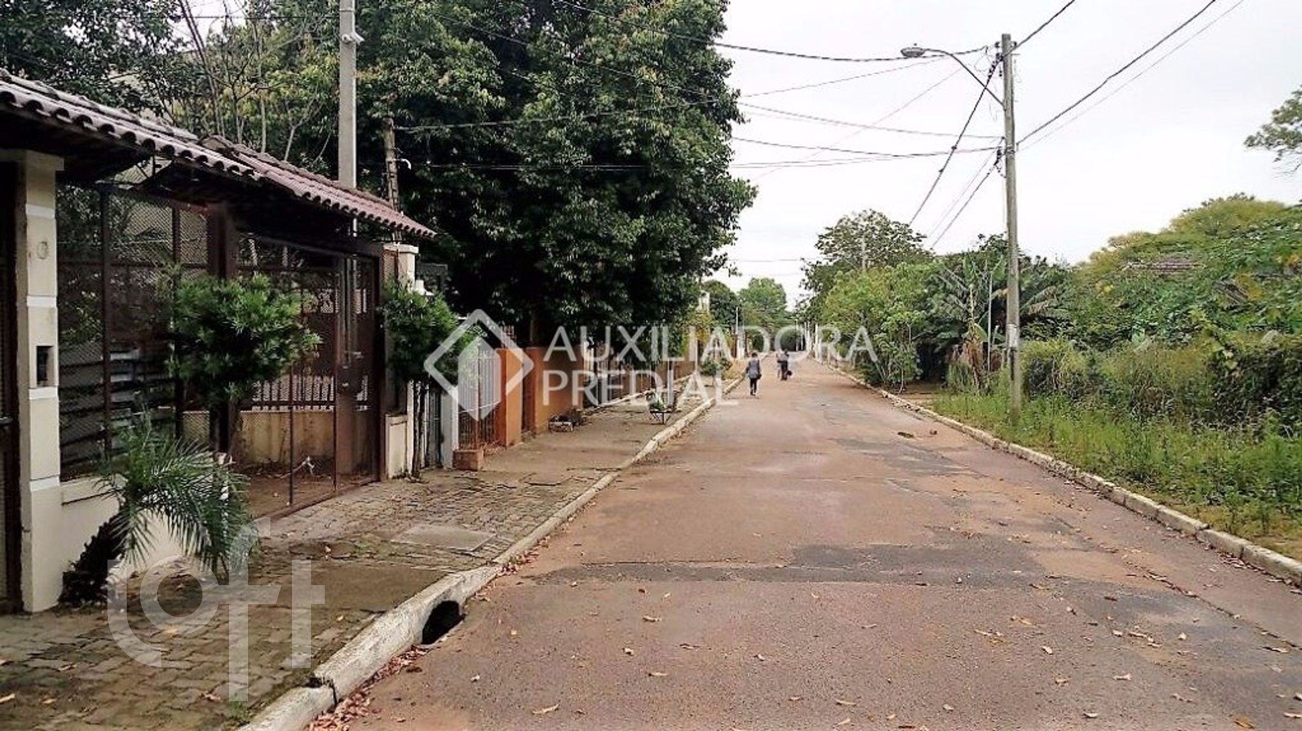 Imagem da propriedade 3