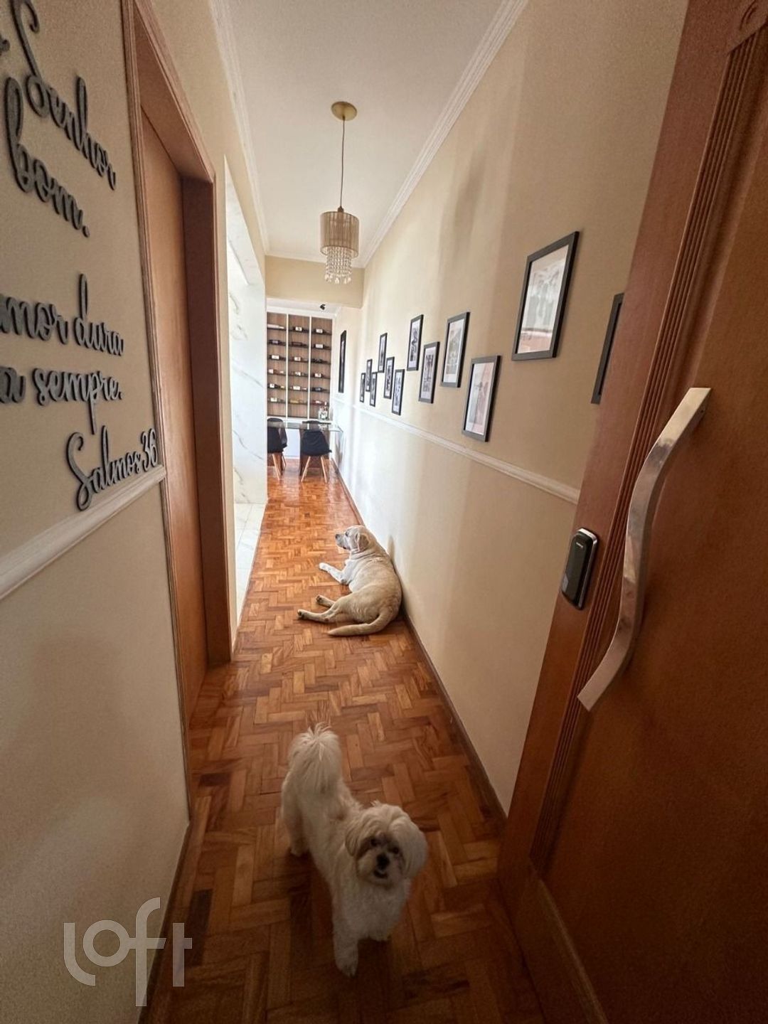 Imagem da propriedade PUgcfr5n 14
