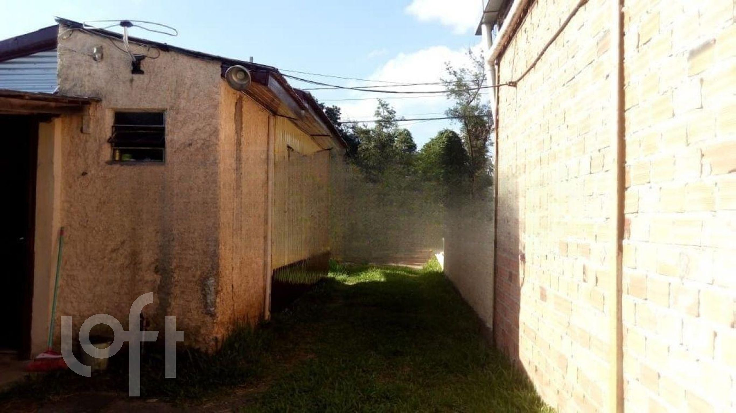 Imagem da propriedade 18